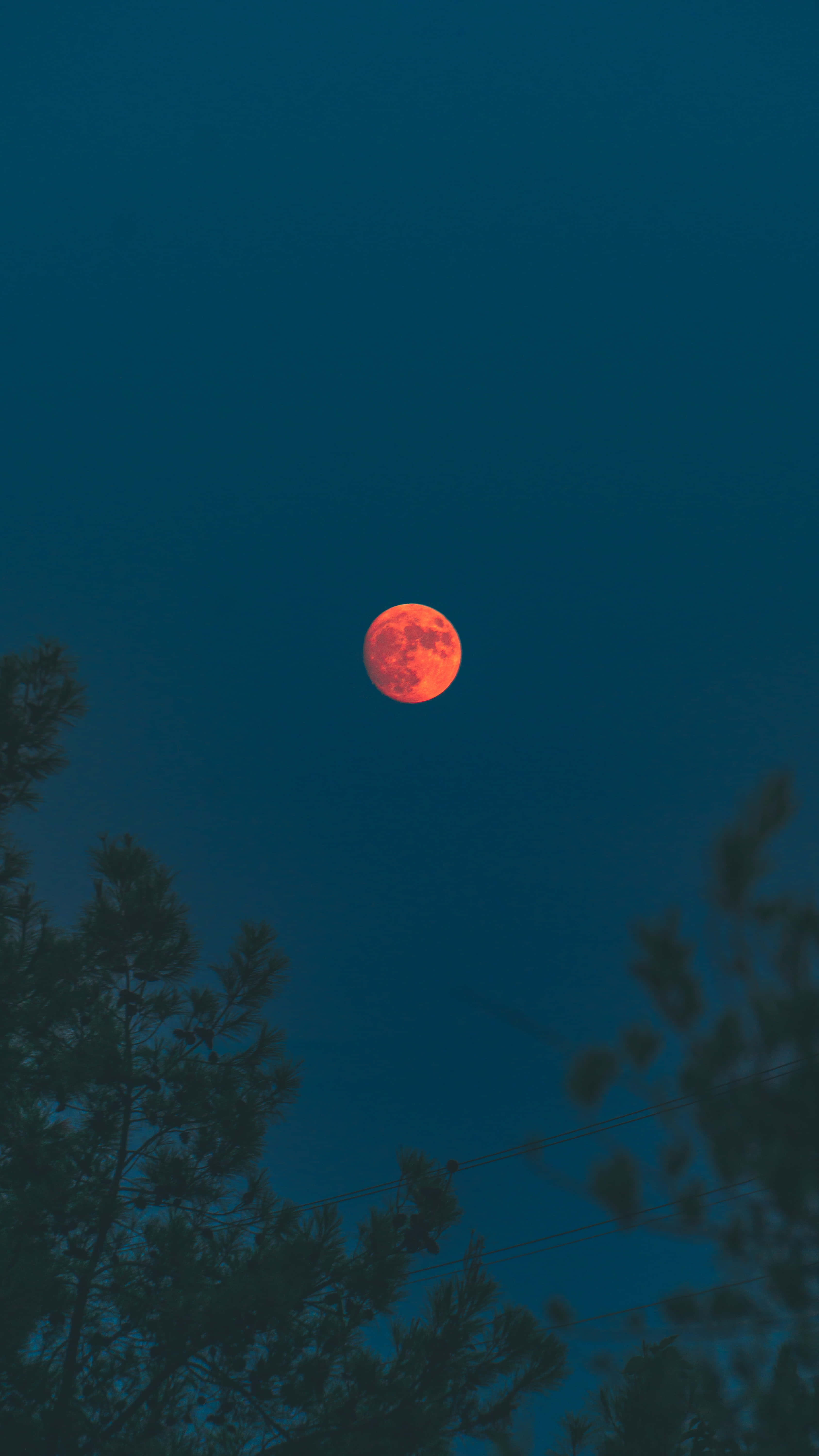 Blood Moon, vivid orange full moon, deep teal night sky, 5K Phone Wallpaper