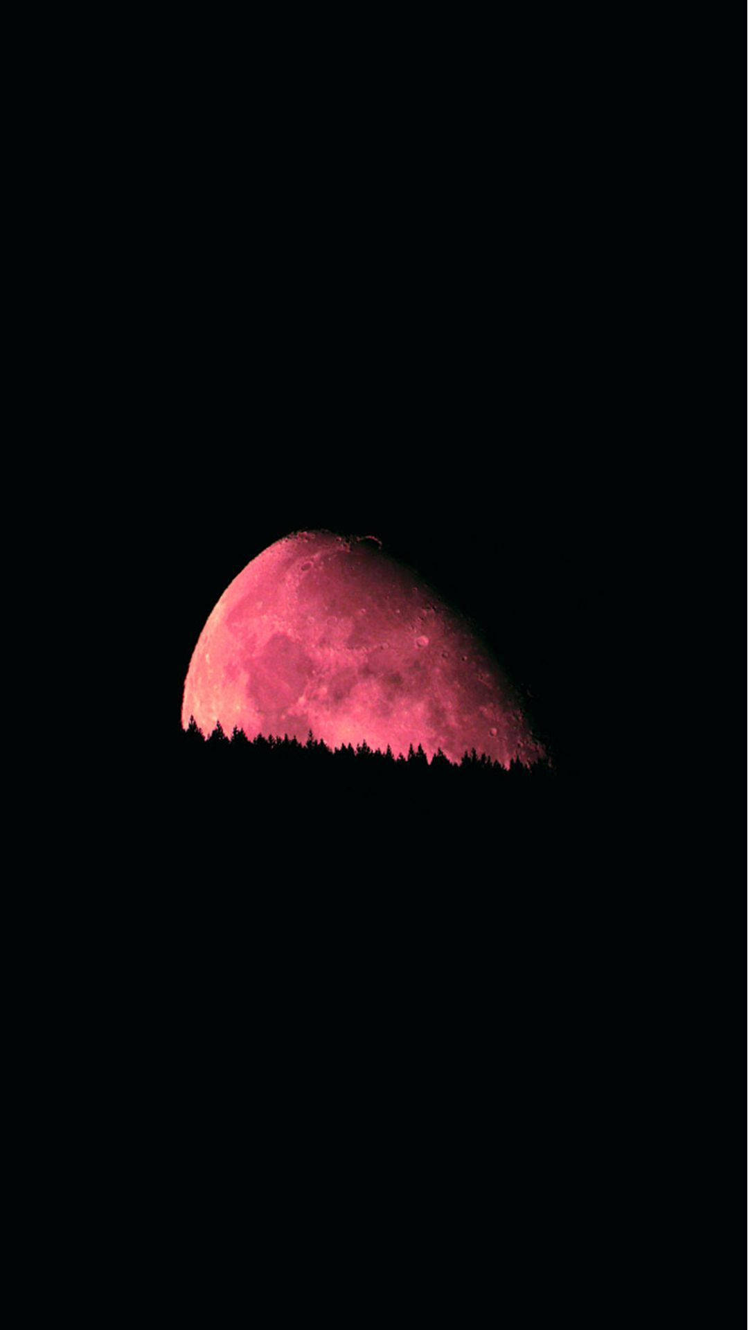 Blood moon, dark forest, black sky, Full HD Phone Wallpaper