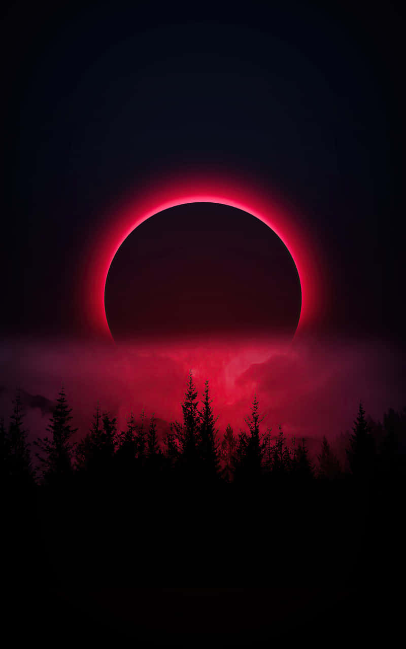 blood moon, annular solar eclipse, dark forest silhouette, HD Phone Wallpaper