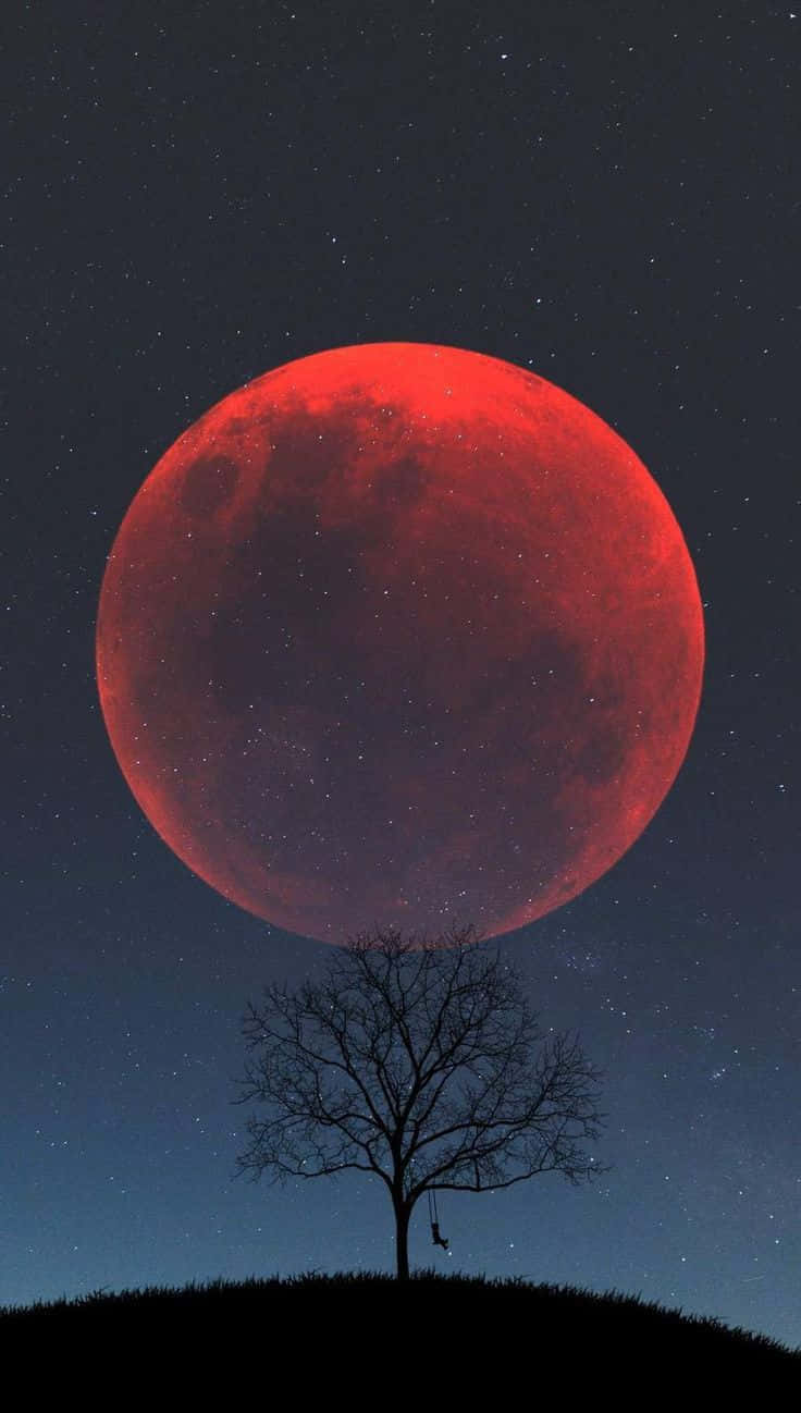 red blood moon, bare tree silhouette, hill, HD Phone Wallpaper