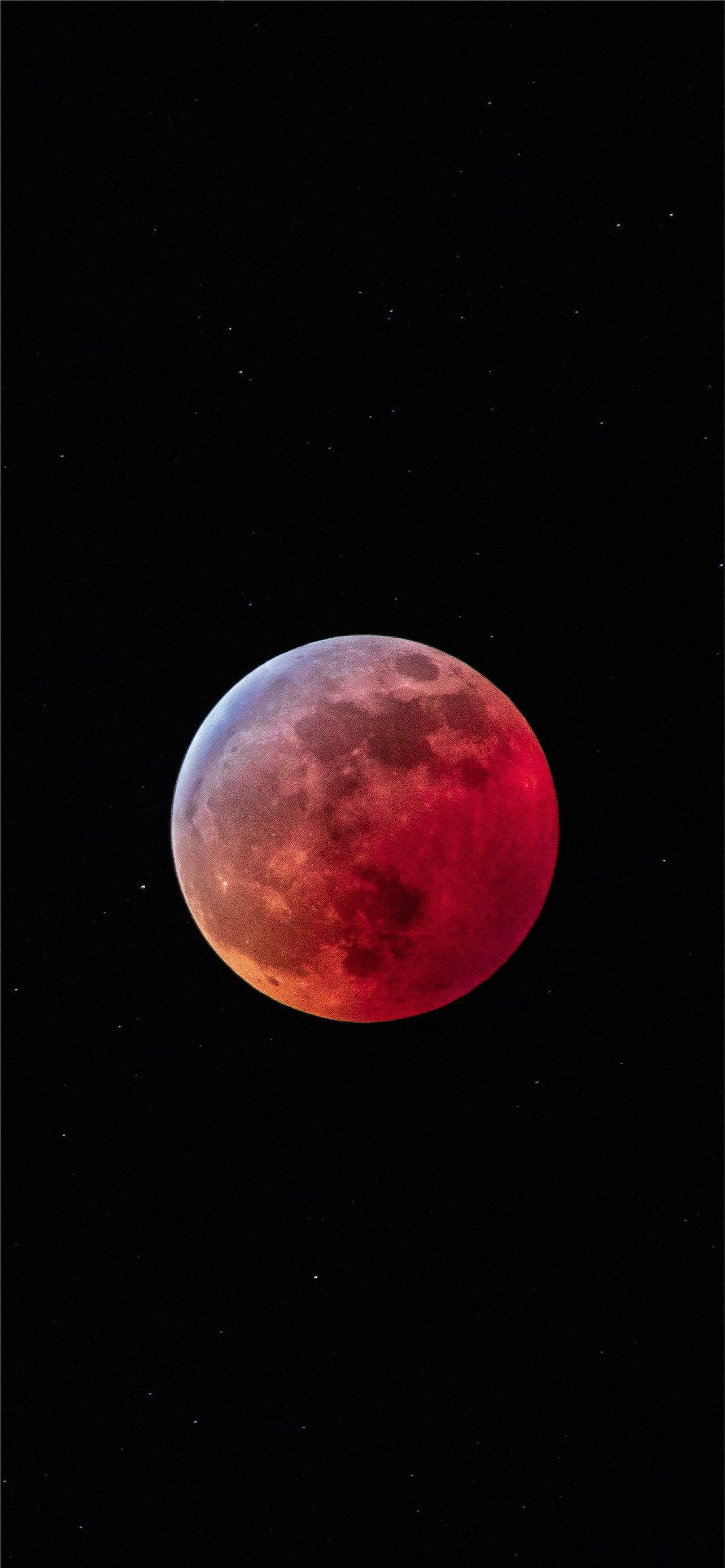 blood moon, crimson, starry black sky, 2K Phone Wallpaper