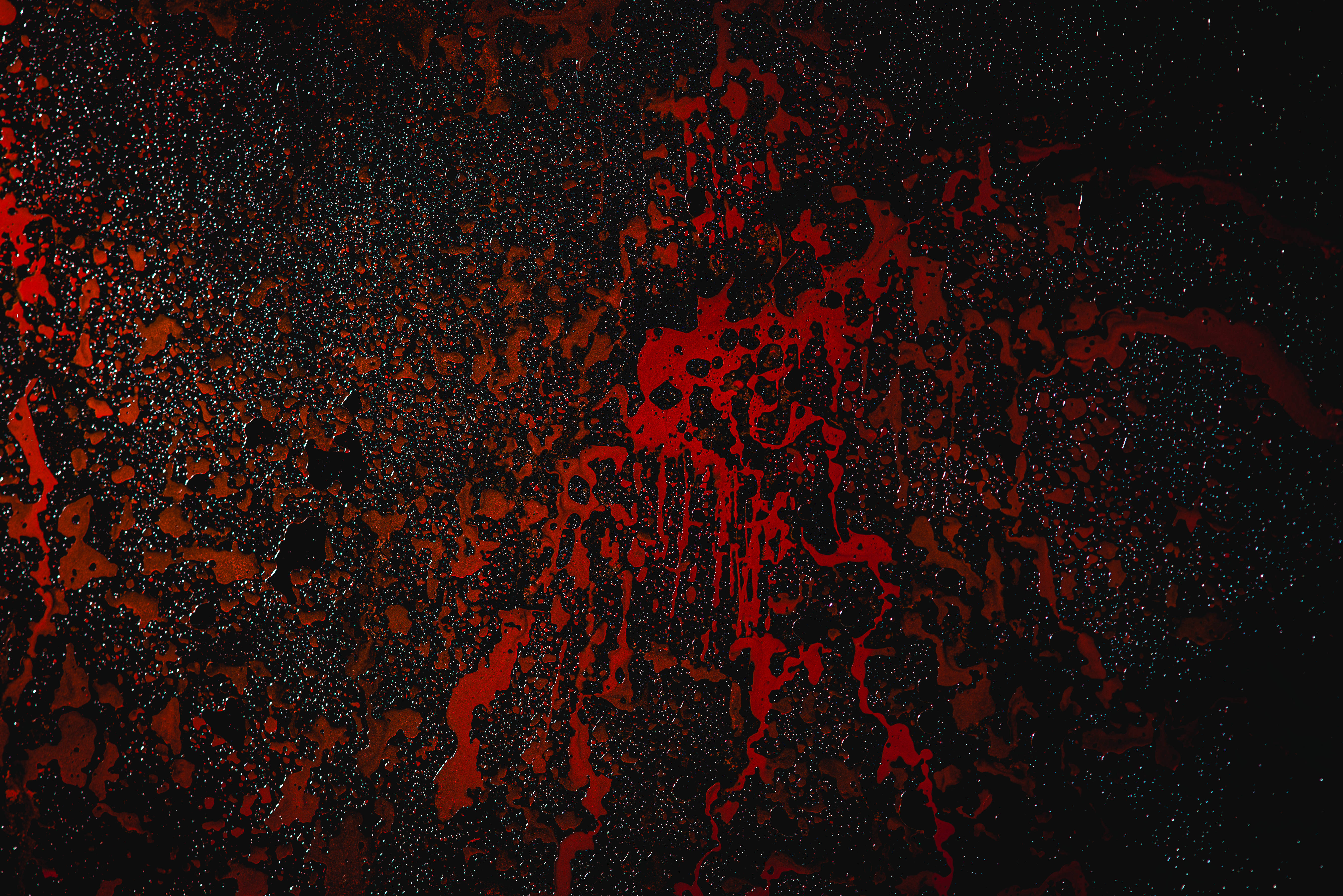 red blood cells, vivid red, deep black, 5K Desktop Wallpaper