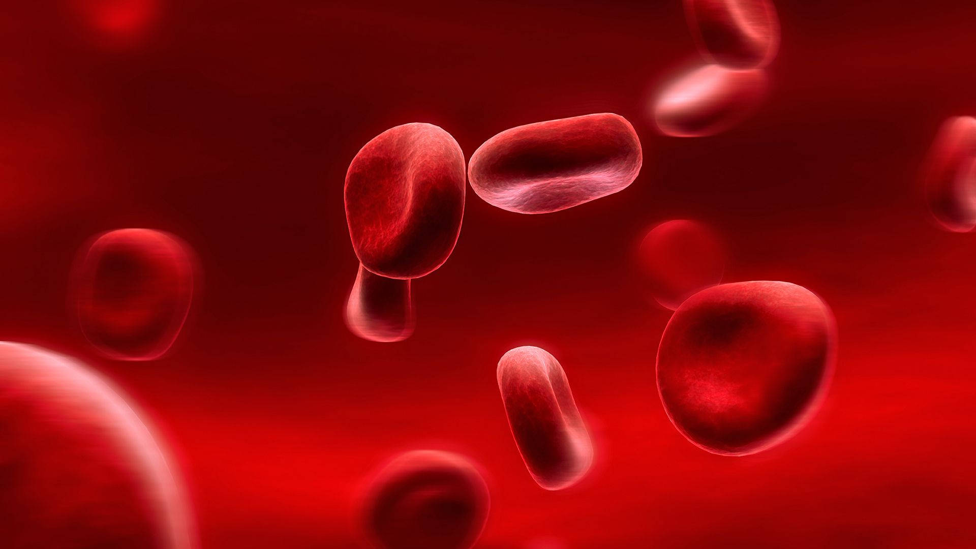 red blood cells, deep crimson liquid, soft glowing light, Full HD Desktop Wallpaper