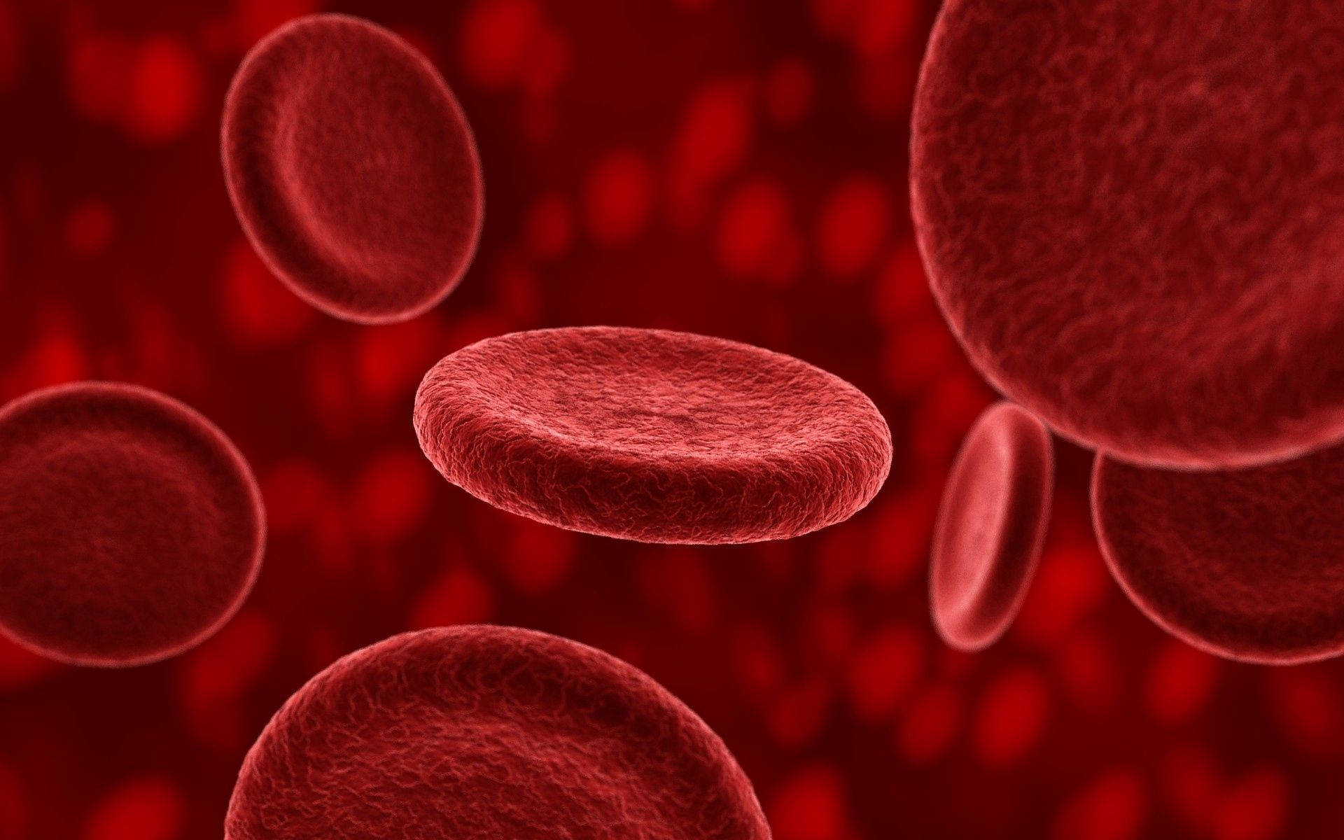 red blood cells, deep crimson plasma, soft bokeh background, Full HD Desktop Wallpaper