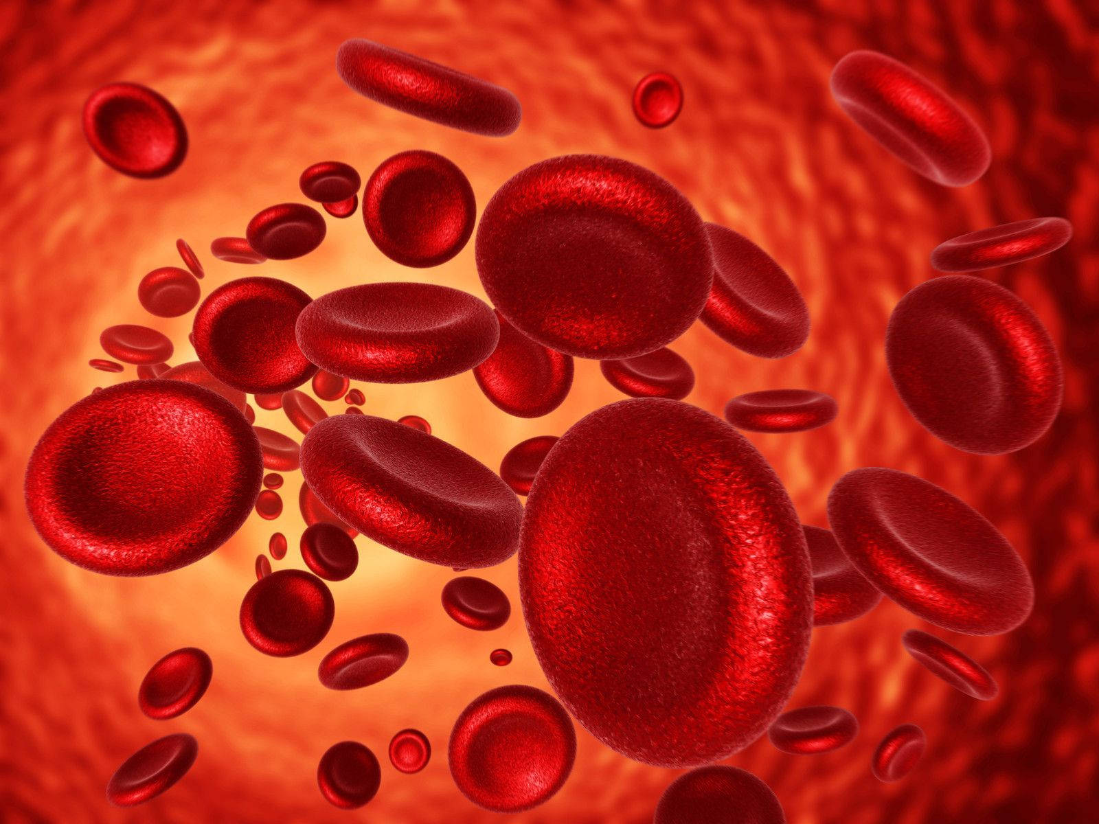 red blood cells, glowing orange-red vessel, vivid 3d-rendered medical illustration, HD Desktop Wallpaper