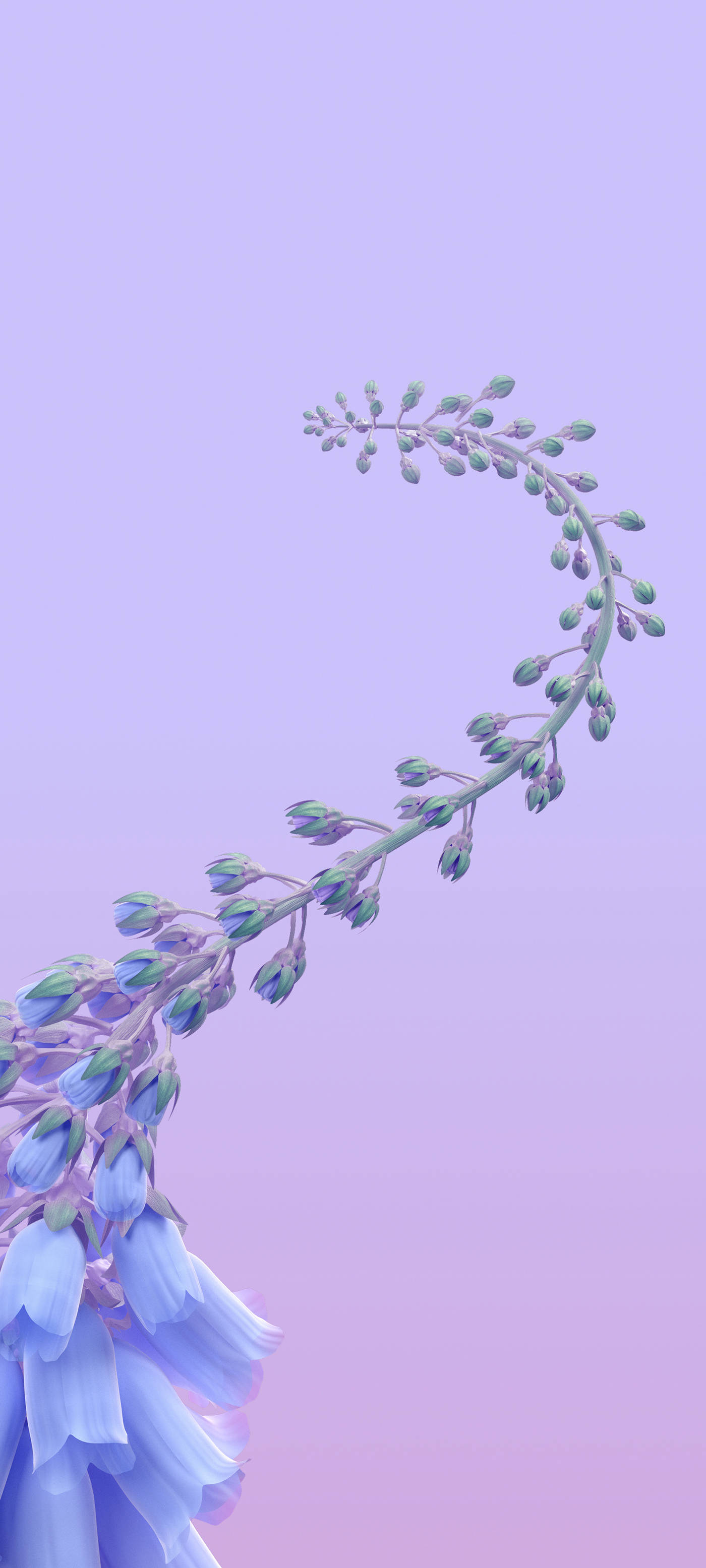 interactive bellflower vine, bluebell flower, lavender gradient sky, 2K Phone Wallpaper