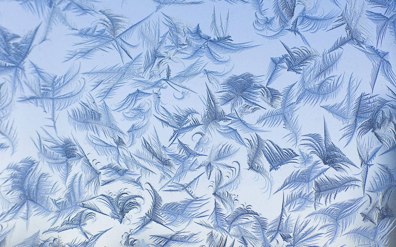 blue aesthetic desktop, frost crystals, feather-like patterns, HD Desktop Wallpaper