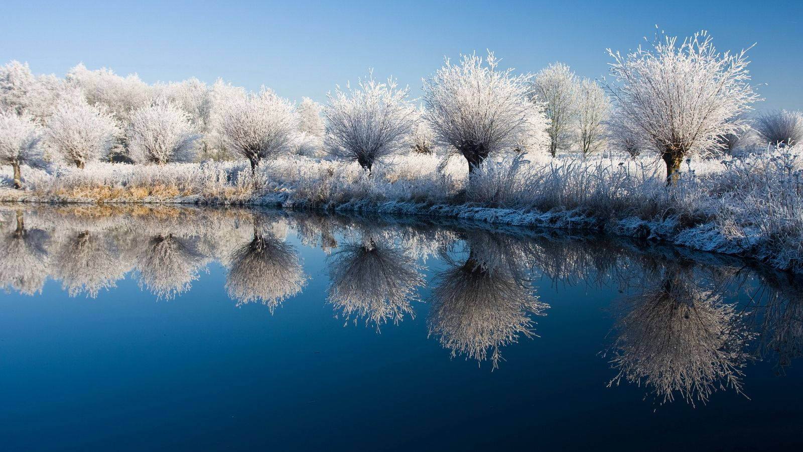 blue aesthetic desktop, frost-covered trees, glassy blue pond, HD Desktop Wallpaper