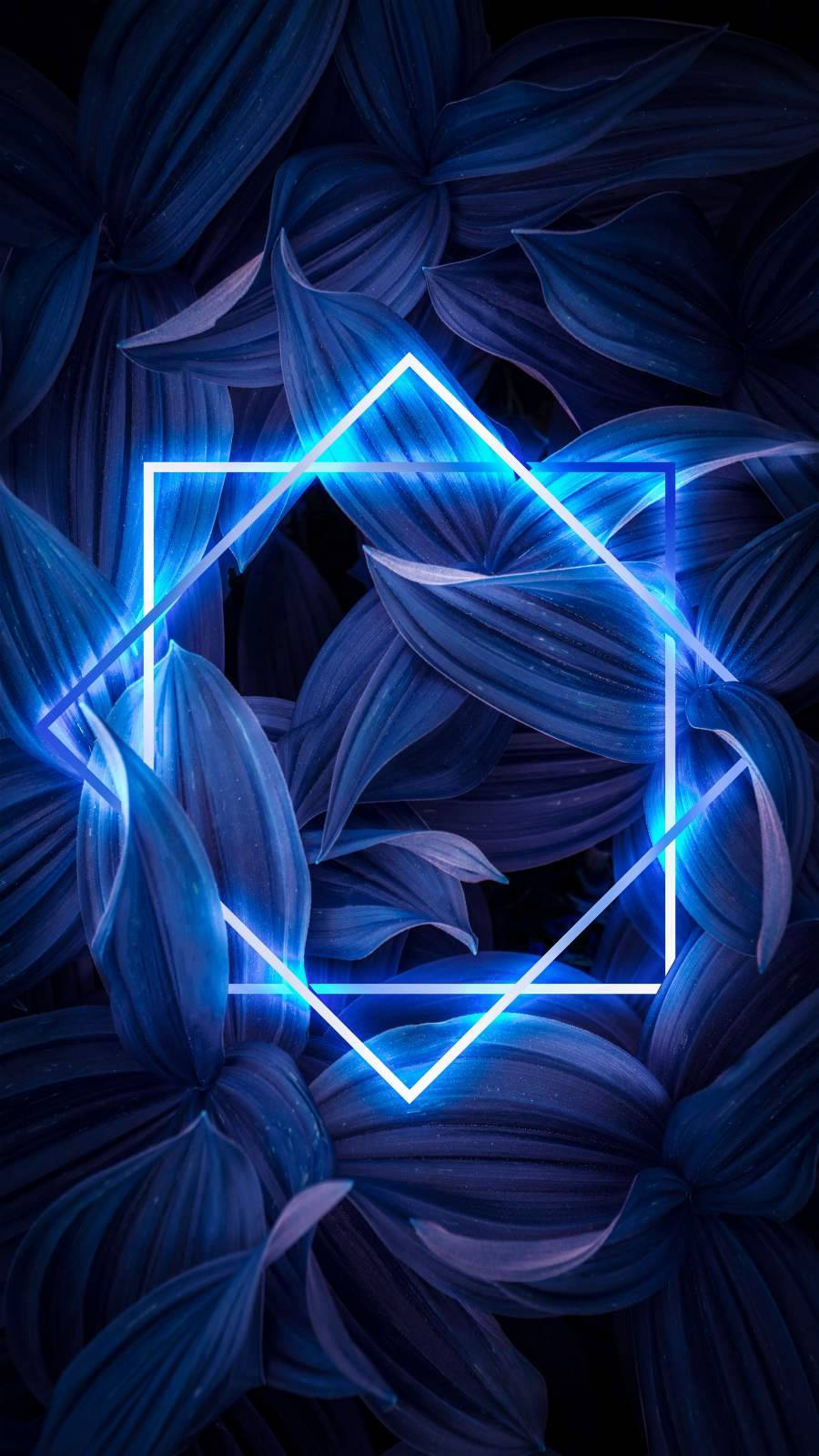 Neon Blue, glowing blue neon geometric frame, dark blue textured leaves, HD Phone Wallpaper