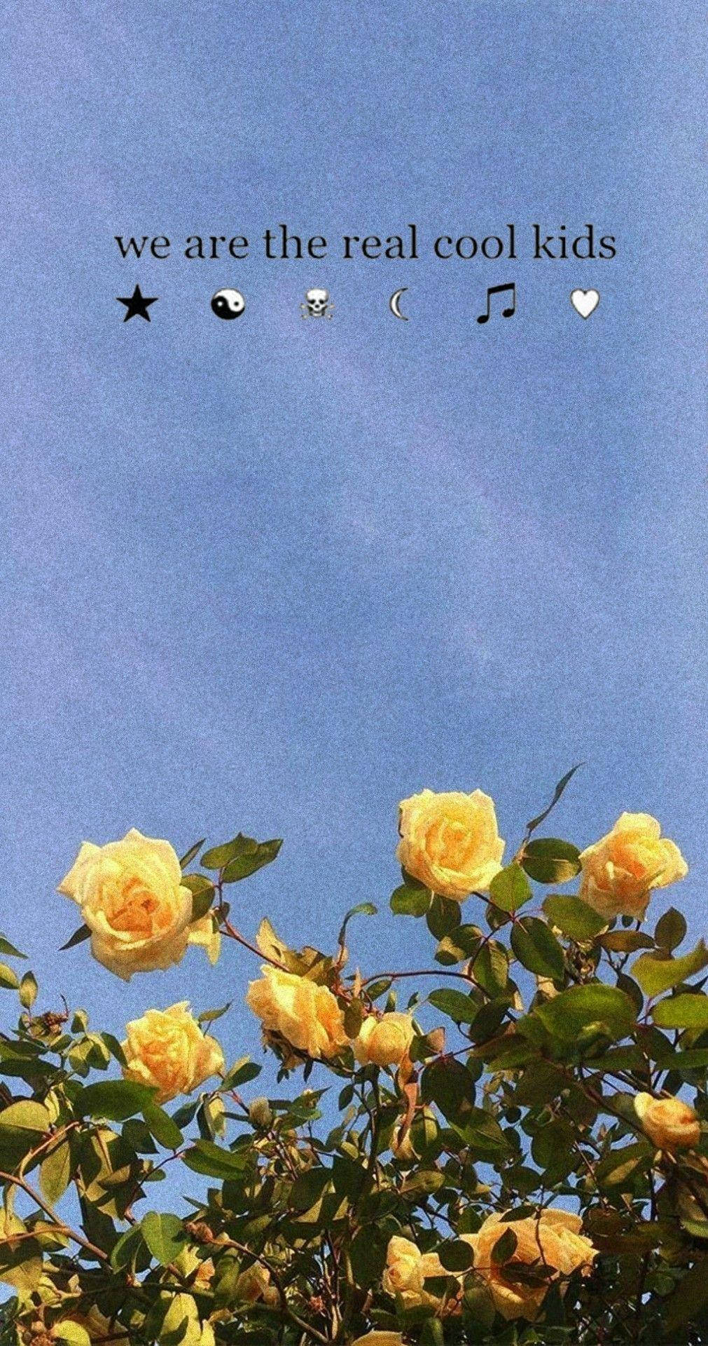 blue aesthetic tumblr laptop, yellow roses, clear blue sky, Full HD Phone Wallpaper