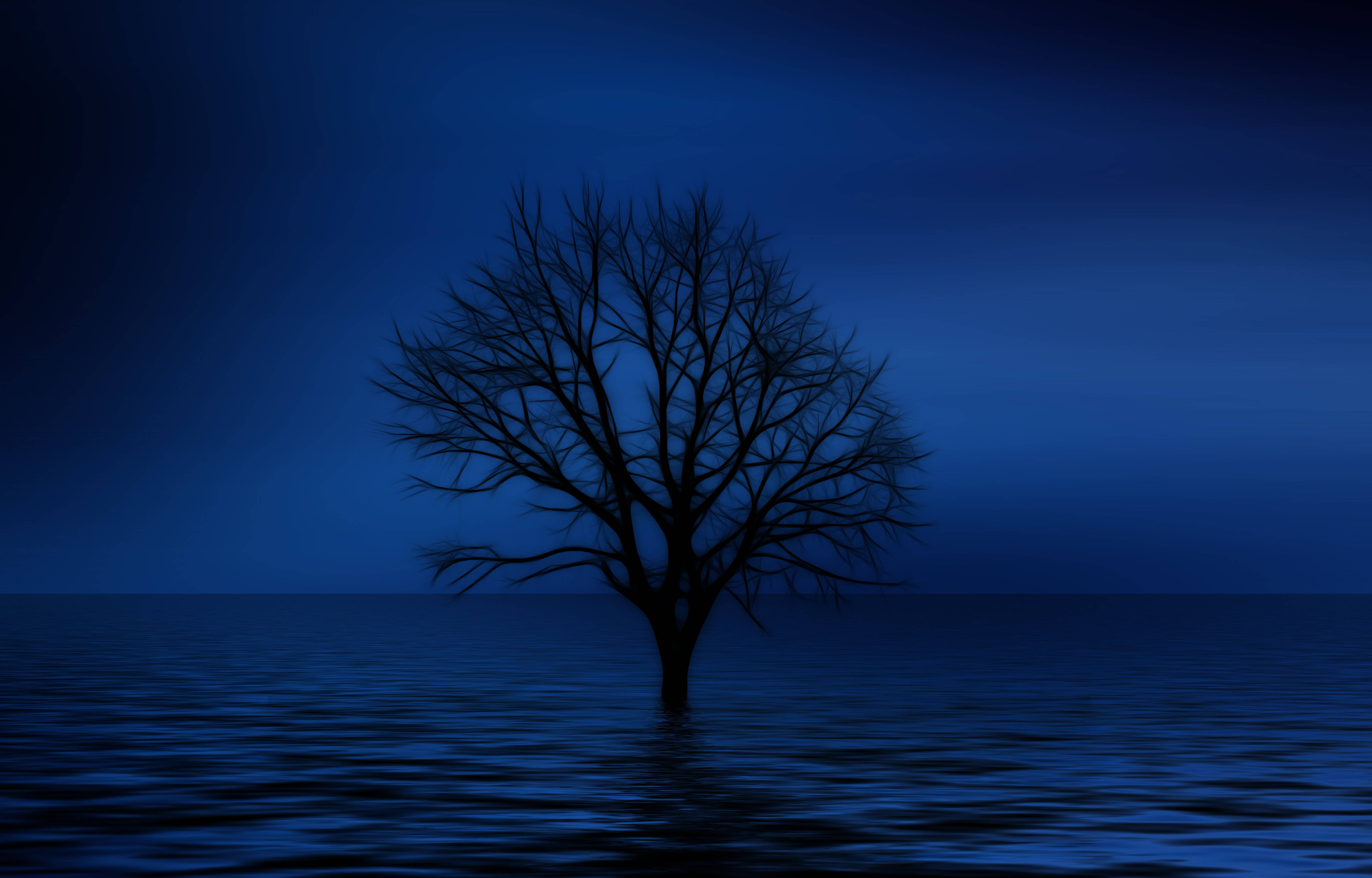 lonely tree, deep blue water, gradient twilight sky, 4K Desktop Wallpaper