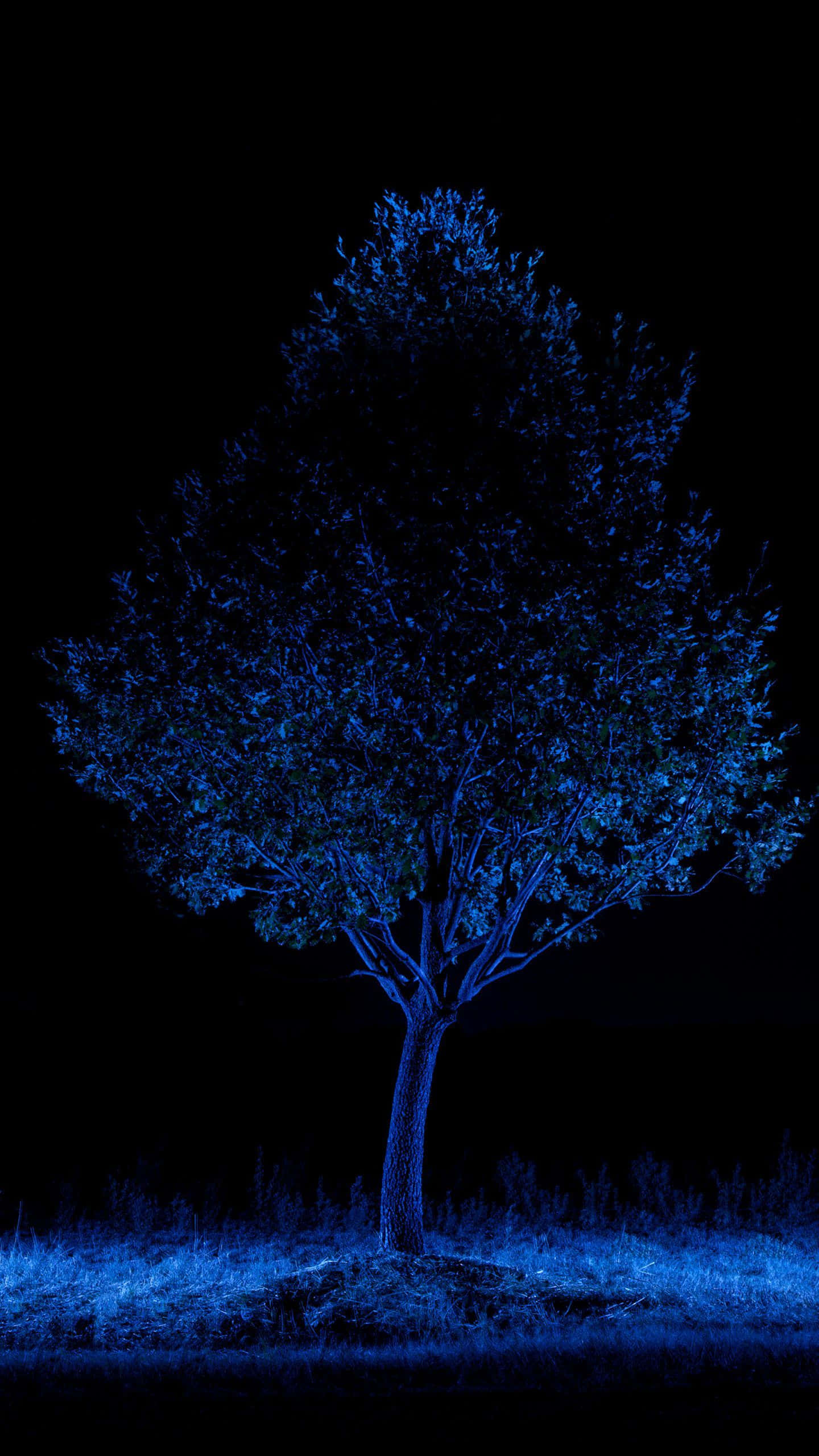 Blue AMOLED, electric blue, pitch-black night sky, 2K Phone Wallpaper
