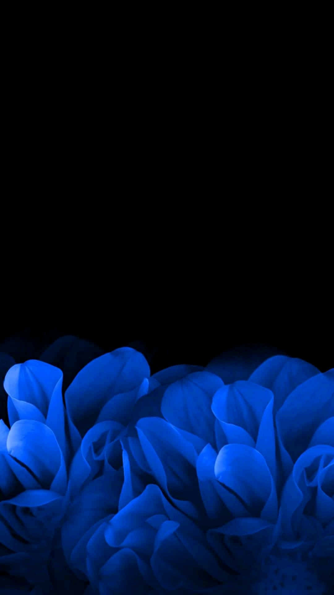 blue amoled, glowing blue, abstract floral shapes, Full HD Phone Wallpaper
