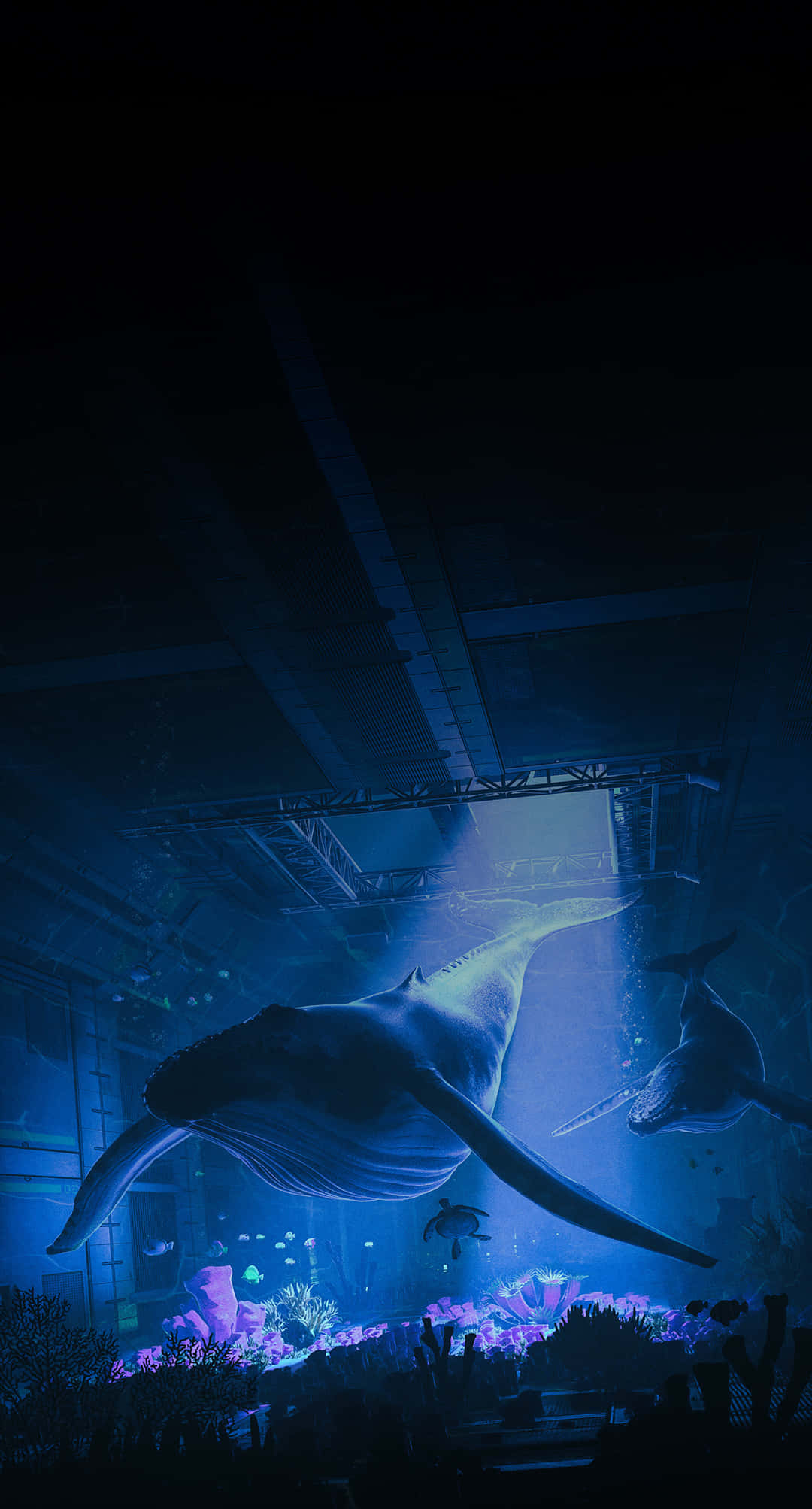 Blue Amoled, whale, deep blue underwater tunnel, Full HD Phone Wallpaper