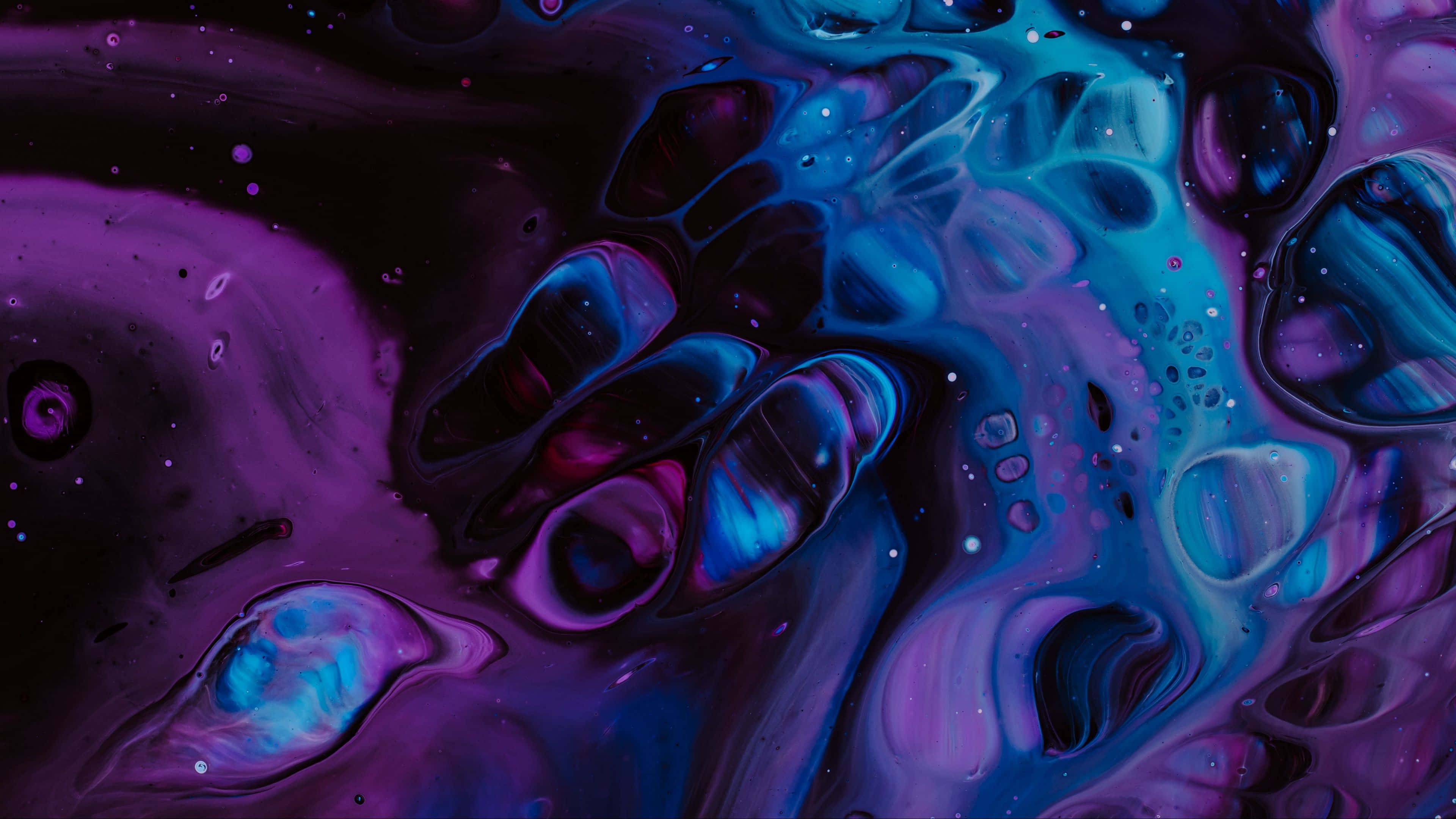 Blue And Purple Shimmer, deep purples, electric blues, 4K Desktop Wallpaper