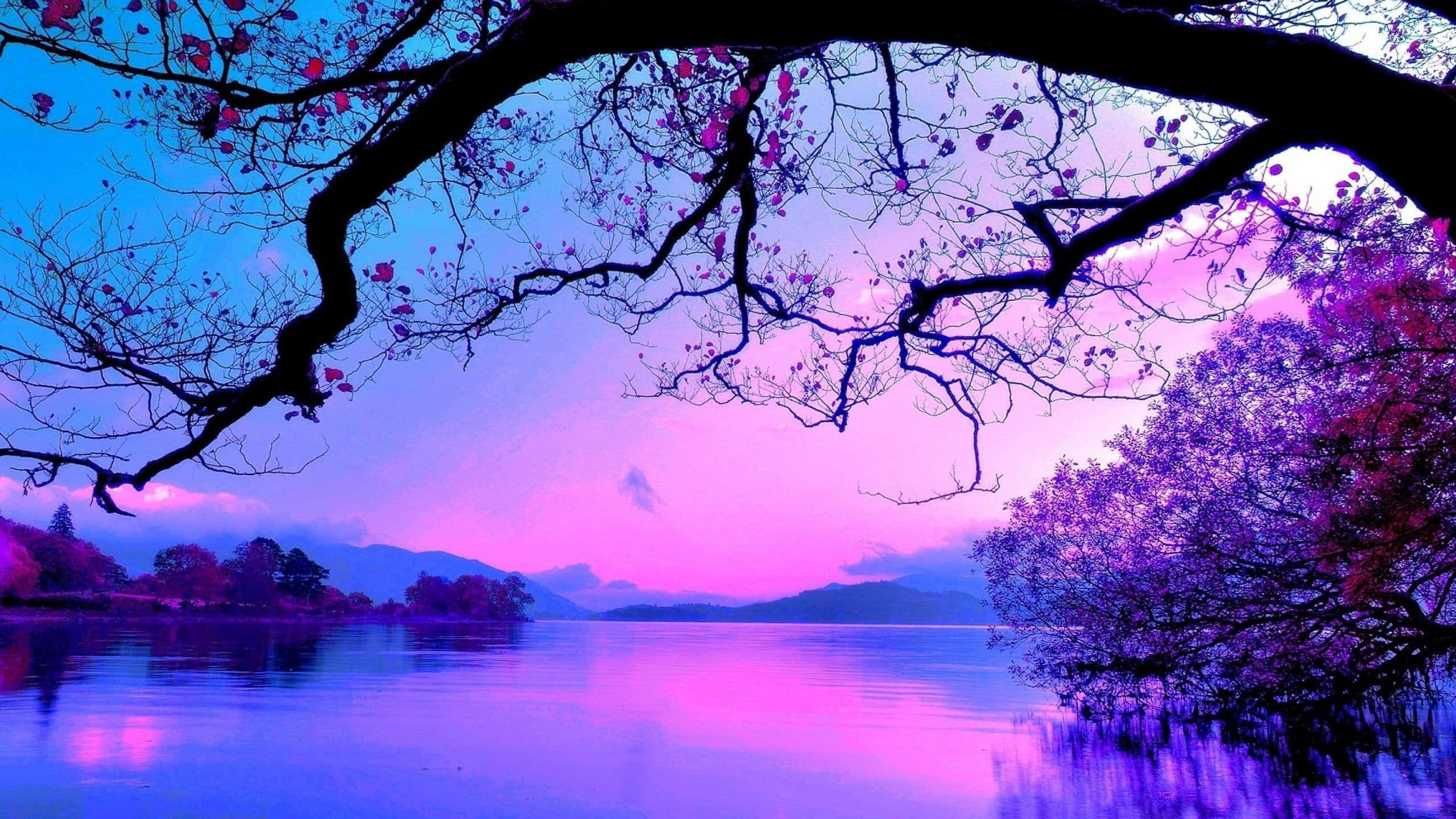 blue and purple, vibrant purple and blue twilight sky, serene lake, 2K Desktop Wallpaper
