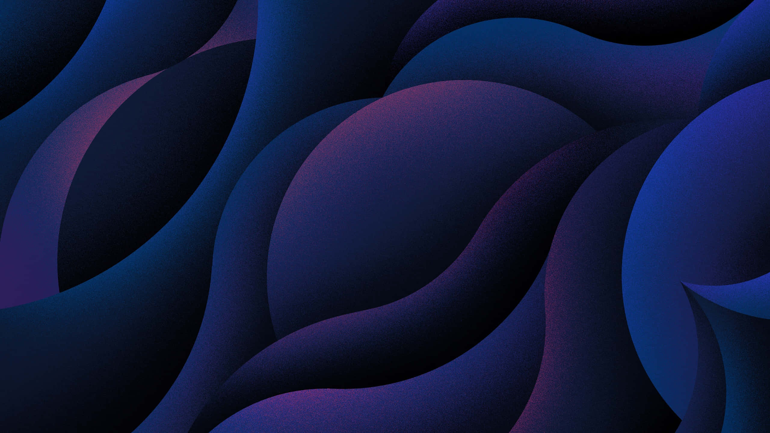 Blue And Purple, deep blue, purple, 2K Desktop Wallpaper