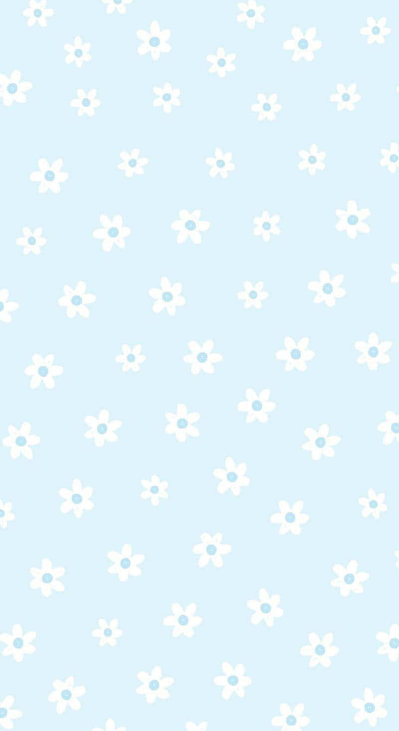 Blue Sky White Daisies Pattern, pastel blue background, white daisy-like flowers, HD Phone Wallpaper