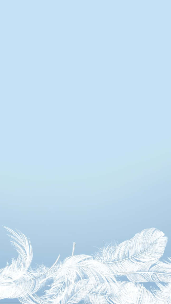 Blue Feather Aesthetic, white feathers, serene gradient sky blue background, HD Phone Wallpaper