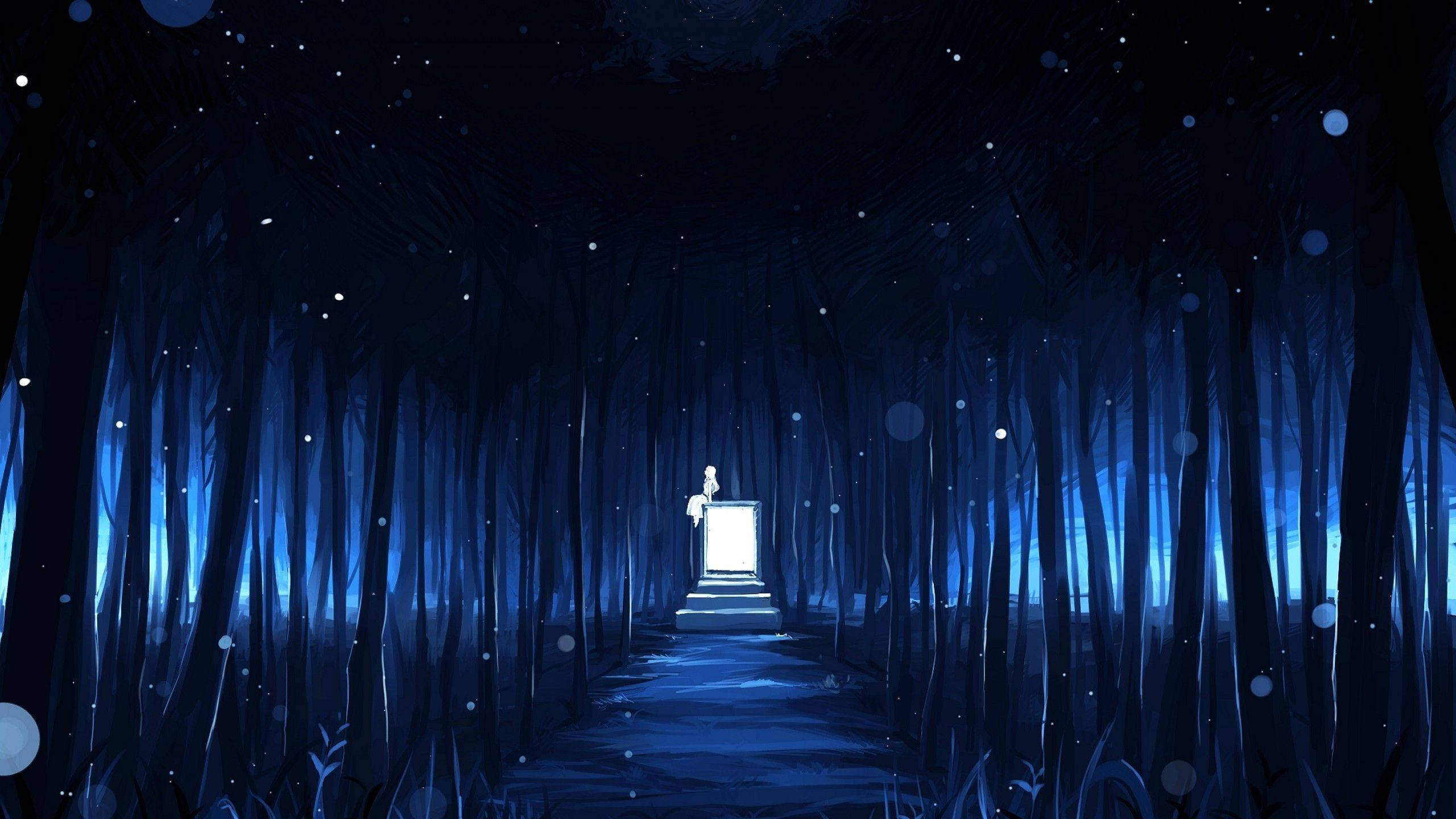 glowing door, mystical blue forest, starry night sky, 2K Desktop Wallpaper