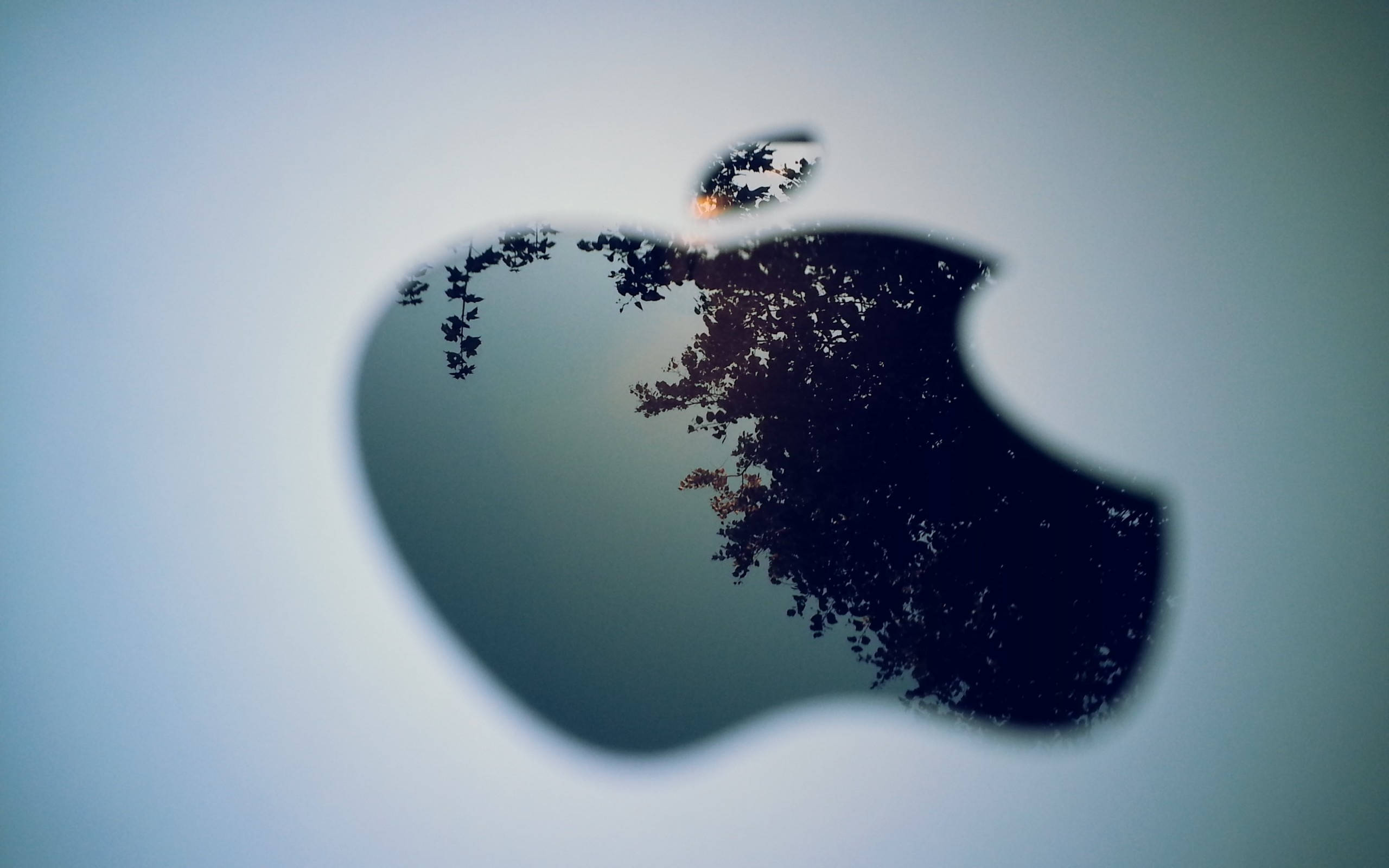 Blue Apple Logo, black background, dark tree branches, 2K Desktop Wallpaper