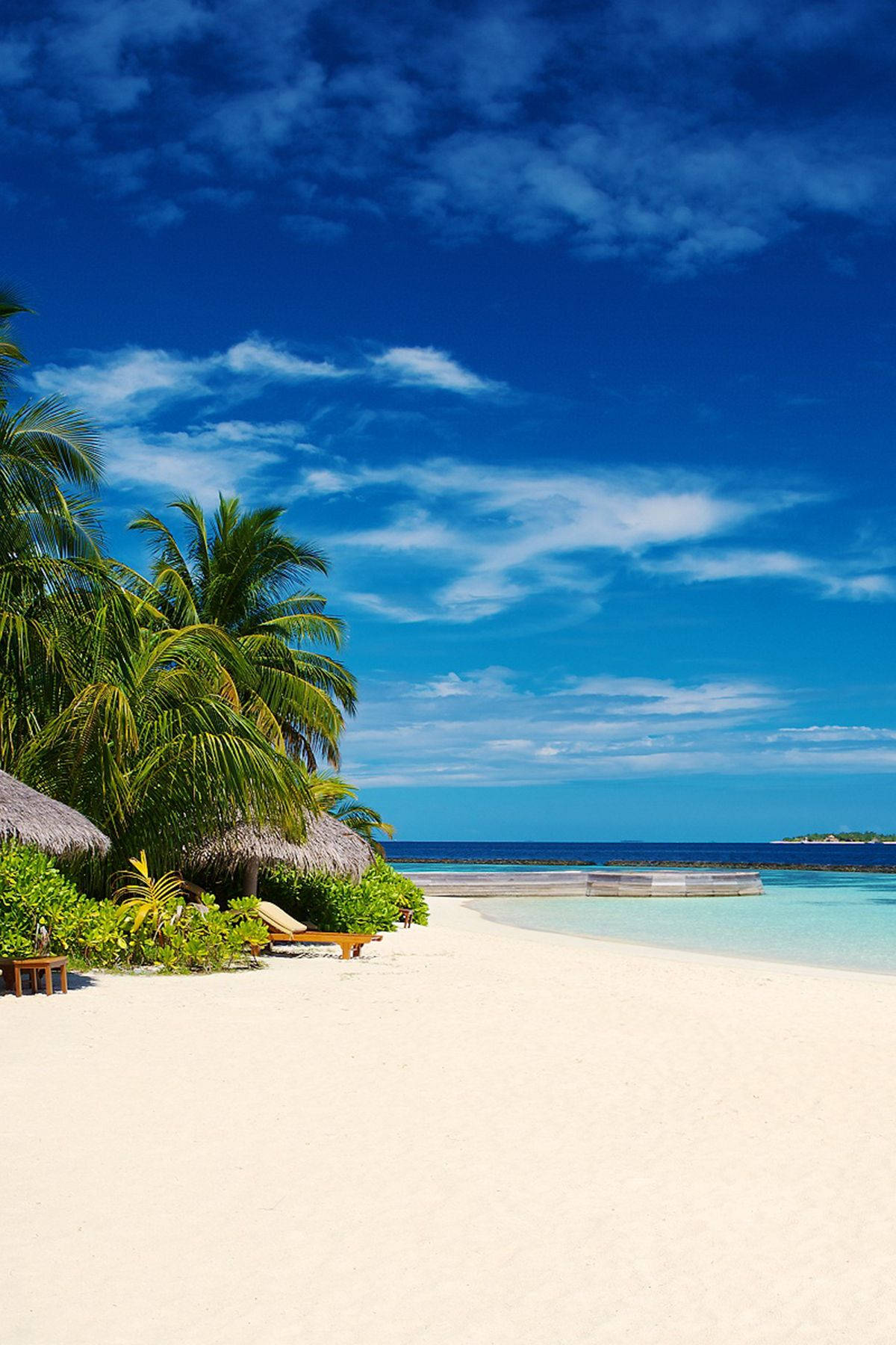beach, white sandy beach, lush palm trees, HD Phone Wallpaper