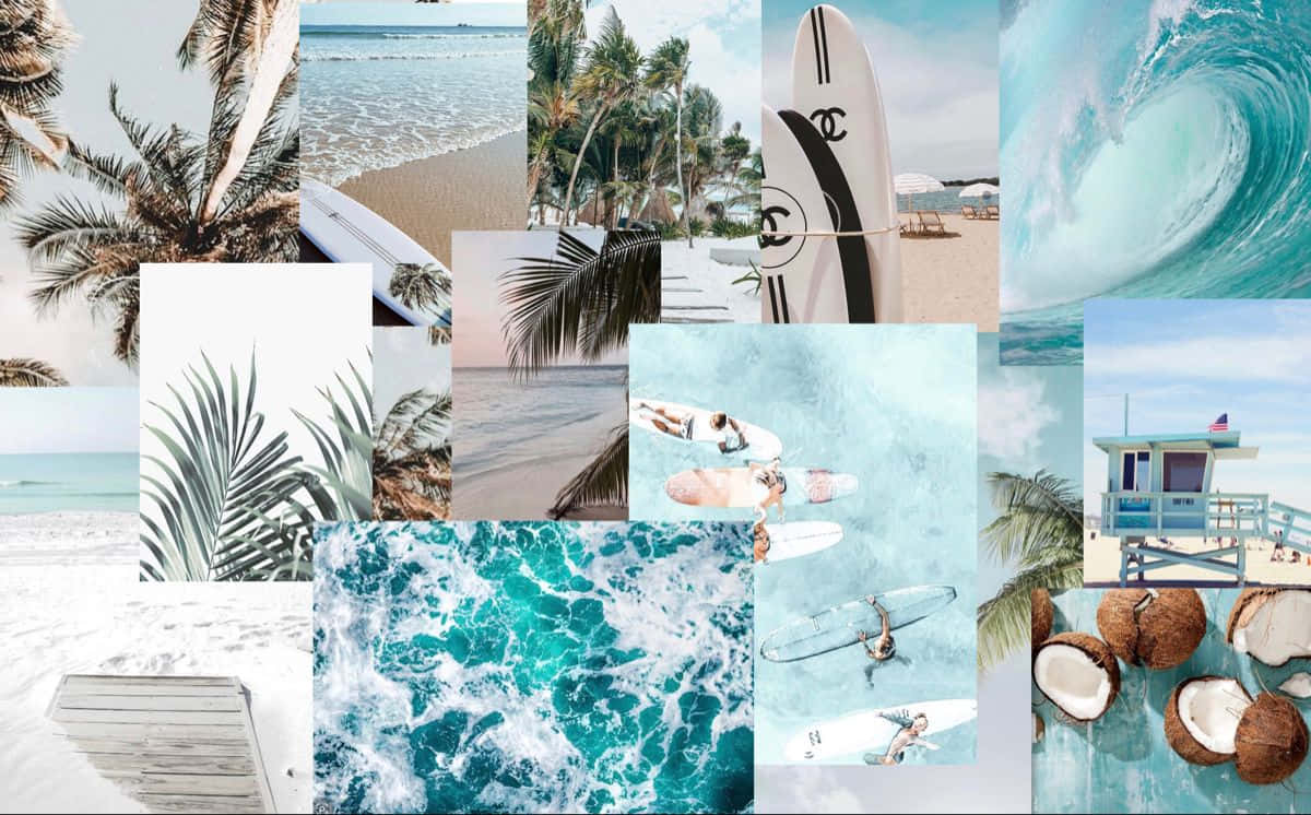 Blue Beach Collage Aesthetic, tropical beach scenes, palm trees, SD Desktop Wallpaper