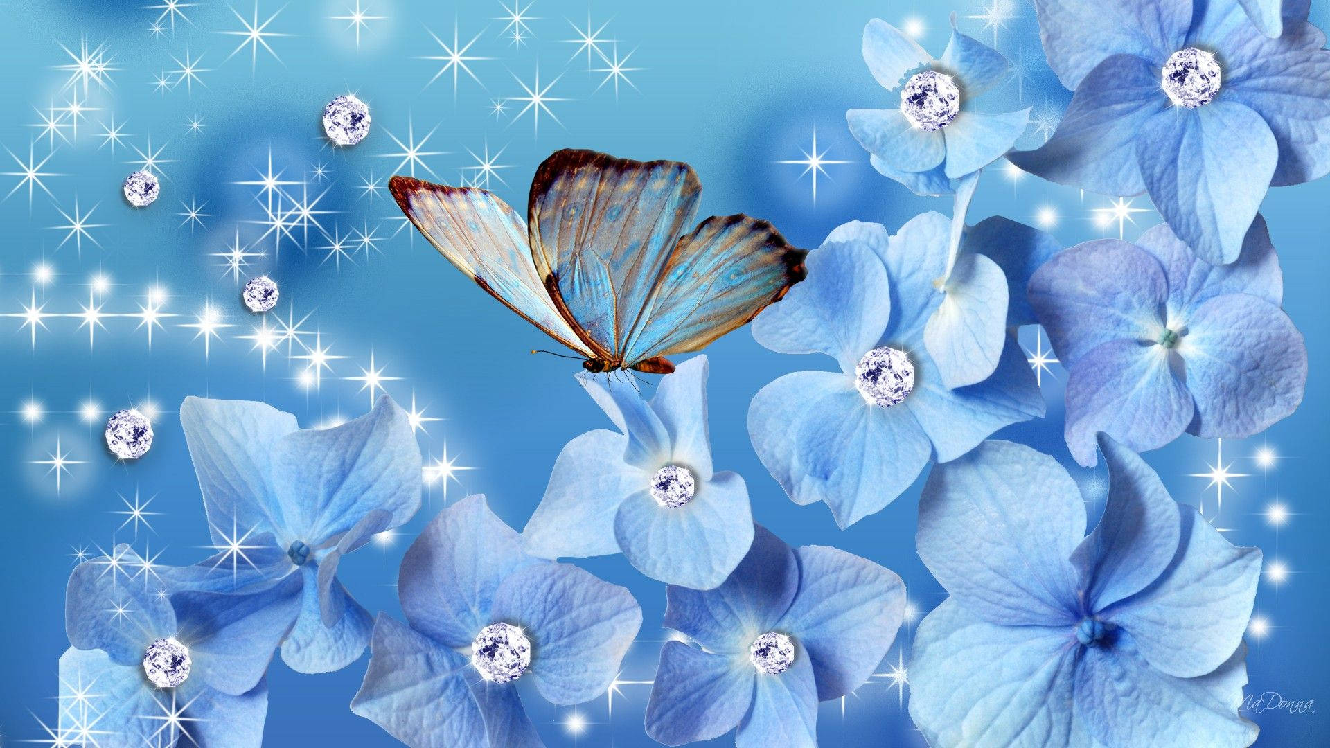 Blue Butterfly Aesthetic, iridescent wings, glowing blue hydrangeas, Full HD Desktop Wallpaper
