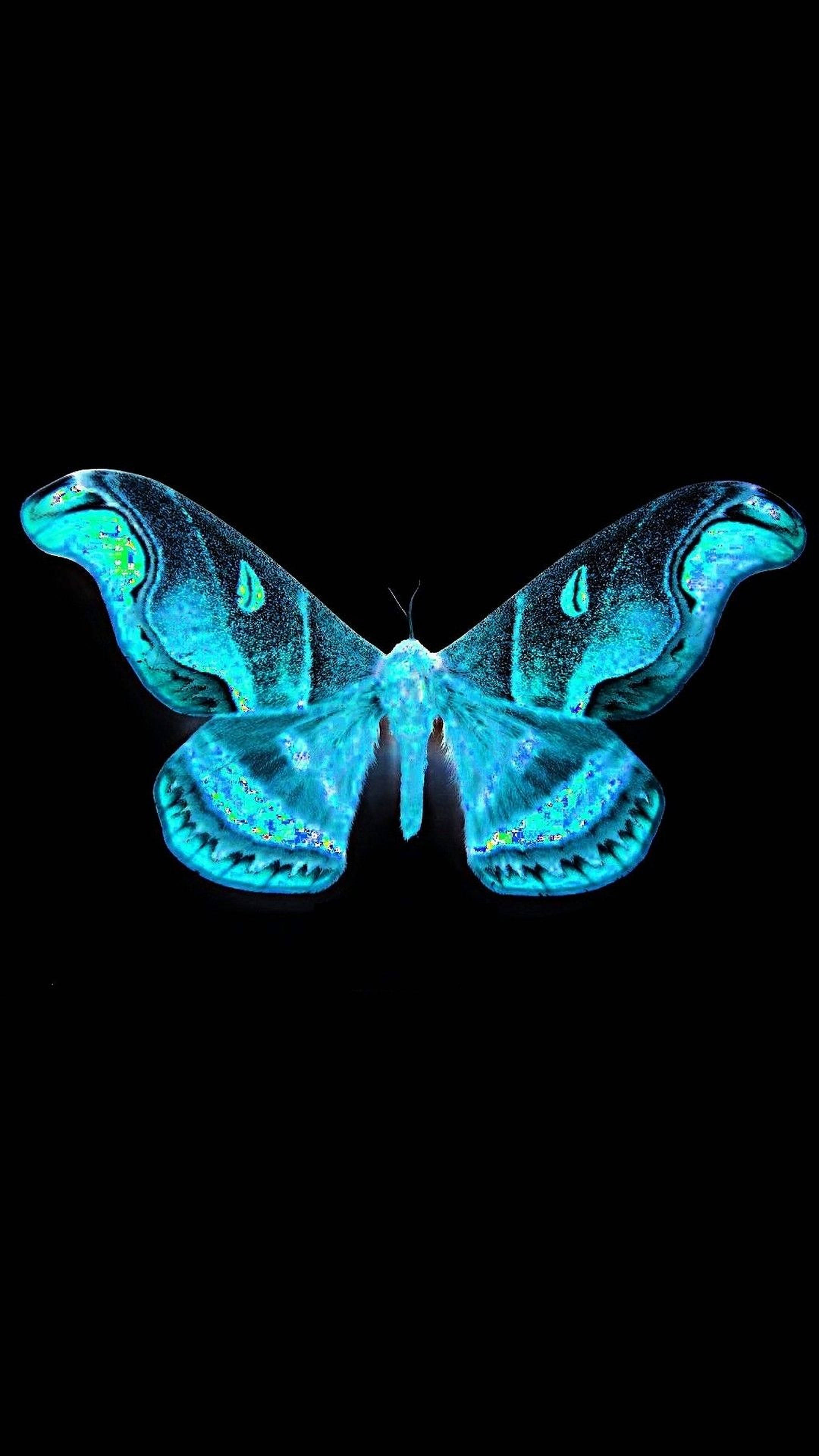 blue butterfly aesthetic, luminous blue-green moth, iridescent wings, 4K Phone Wallpaper
