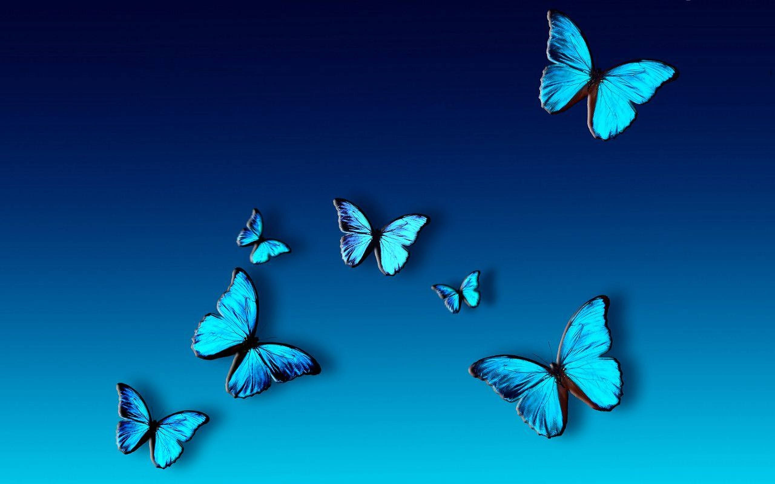 Blue Butterflies Aesthetic, vibrant blue butterflies, gradient blue sky, 2K Desktop Wallpaper