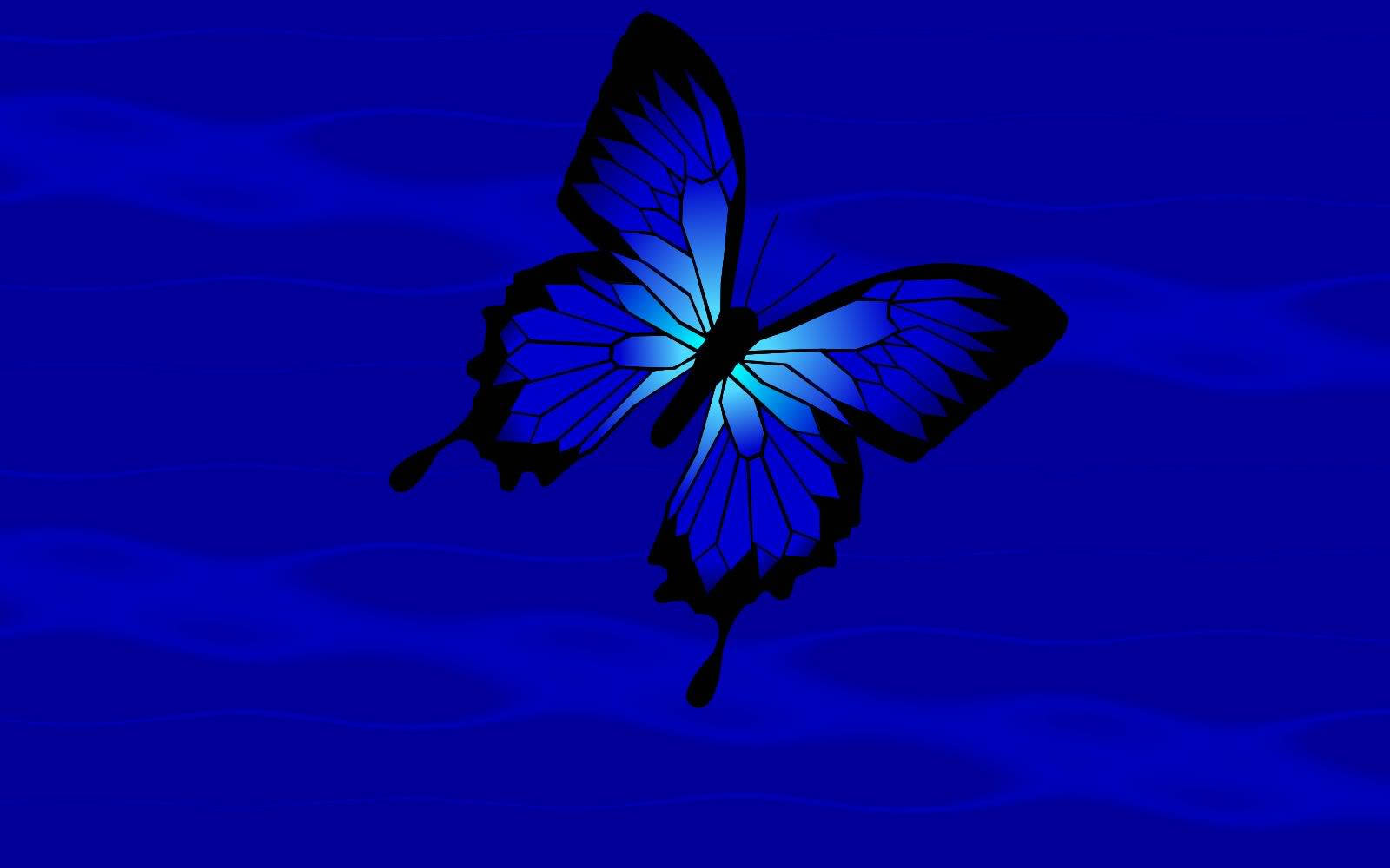 Blue Butterfly Aesthetic, glowing blue butterfly, black outlines, HD Desktop Wallpaper