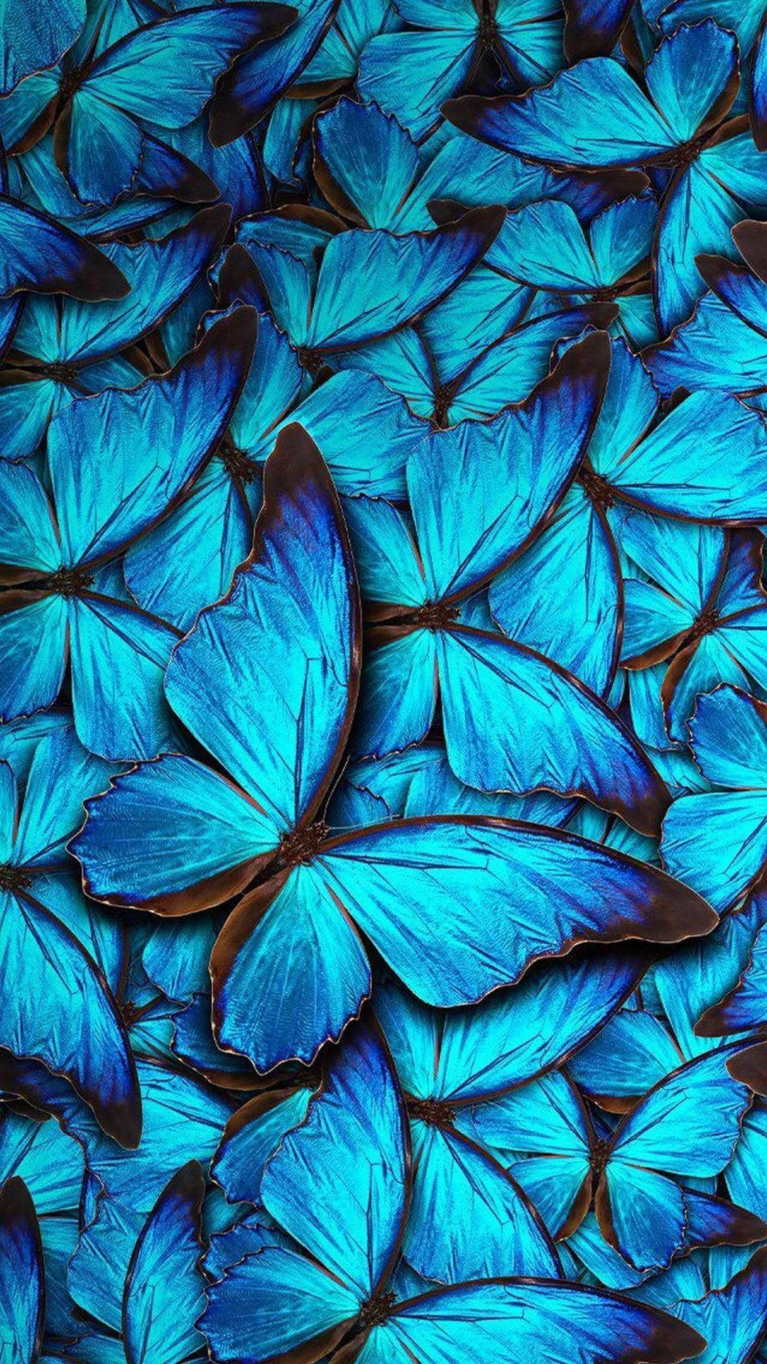 Pretty Blue Butterflies Aesthetic, vibrant blue, iridescent wings, Full HD Phone Wallpaper