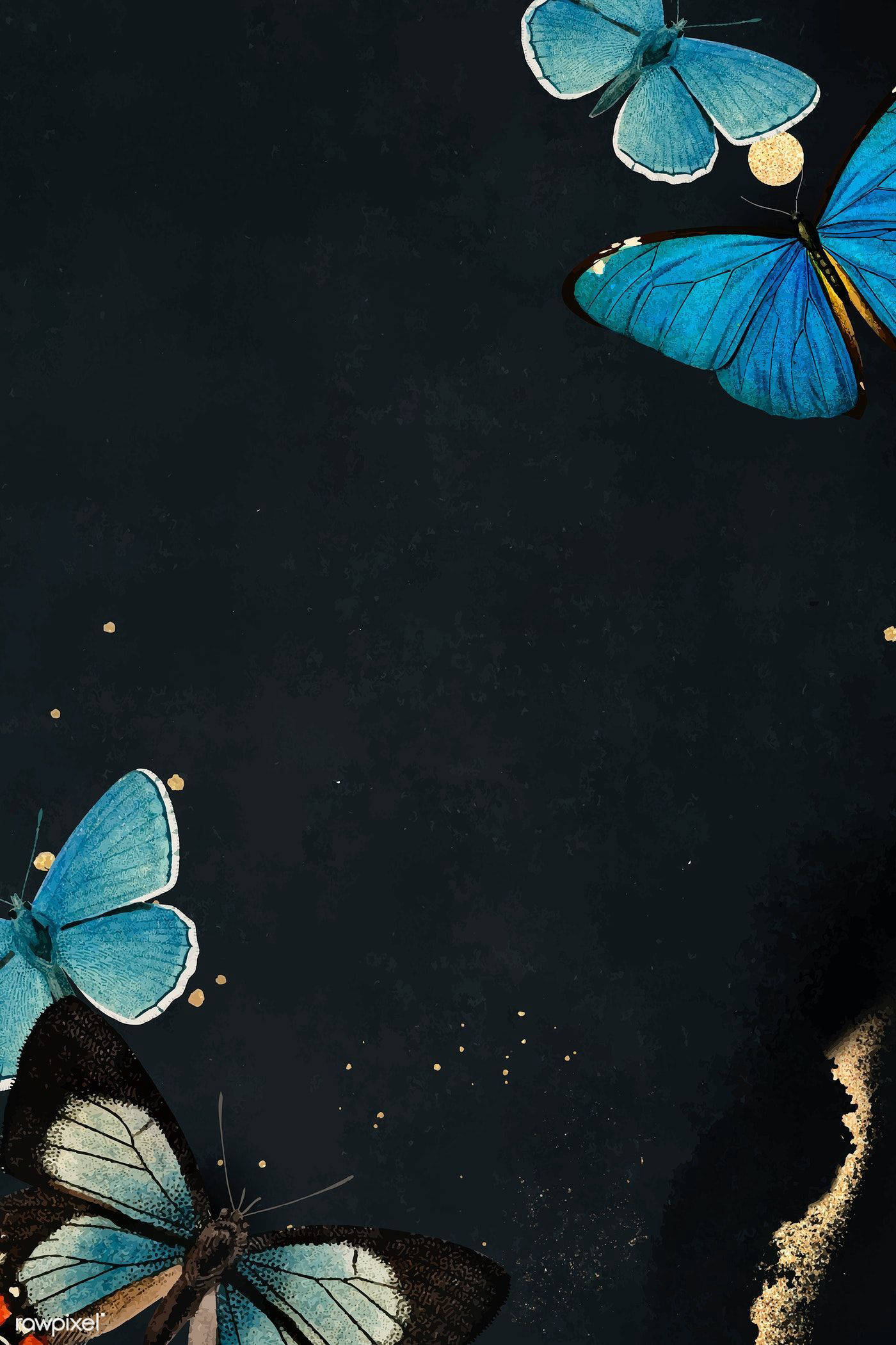 Butterfly Aesthetic, blue wings, gold accents, Full HD Phone Wallpaper