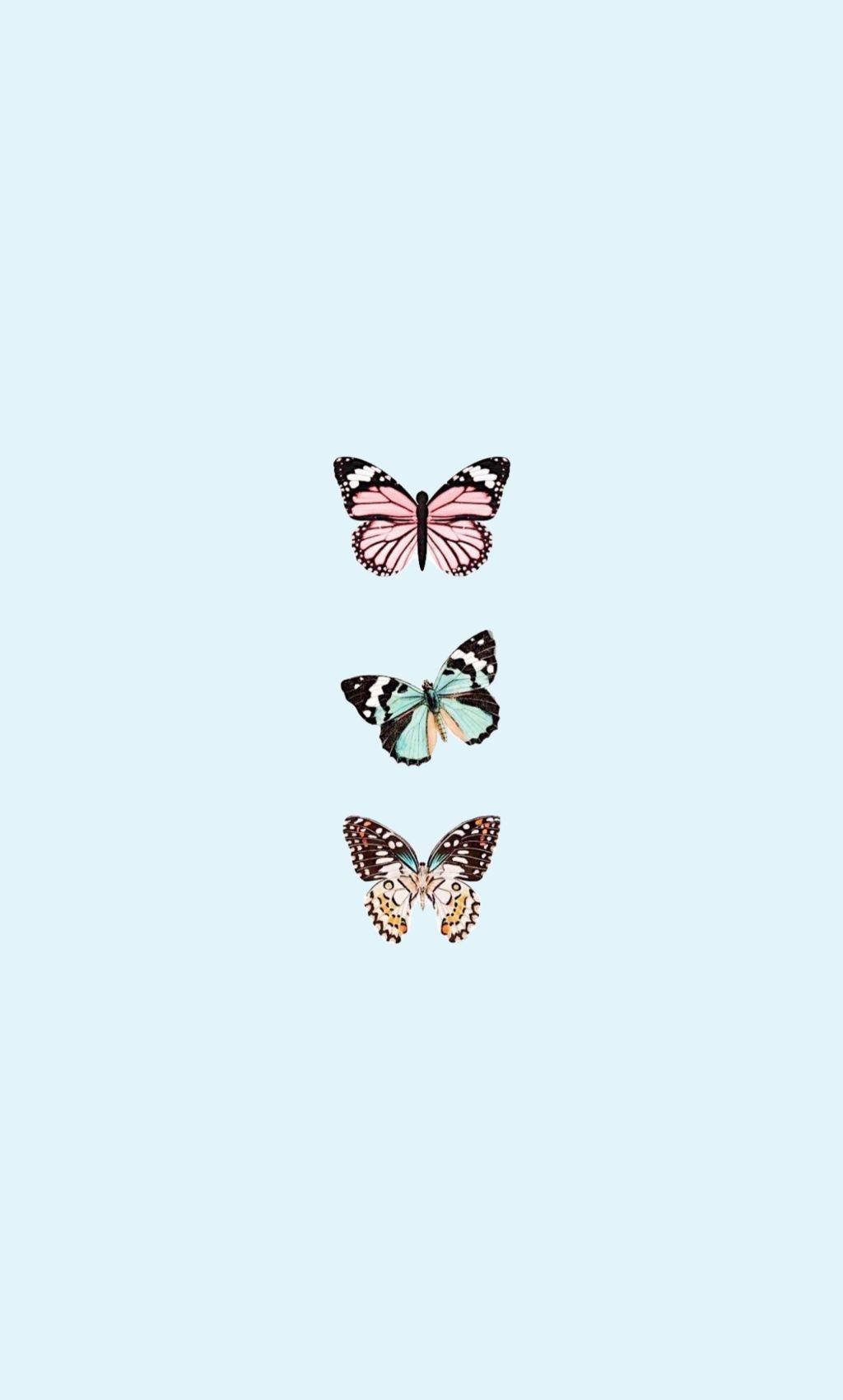 light blue butterfly aesthetic, pink teal, gold, HD Phone Wallpaper