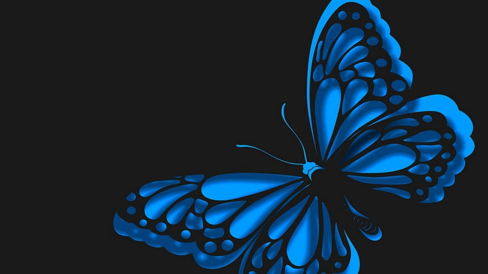 neon blue butterfly, vibrant blue, intricate wing patterns, Full HD Desktop Wallpaper