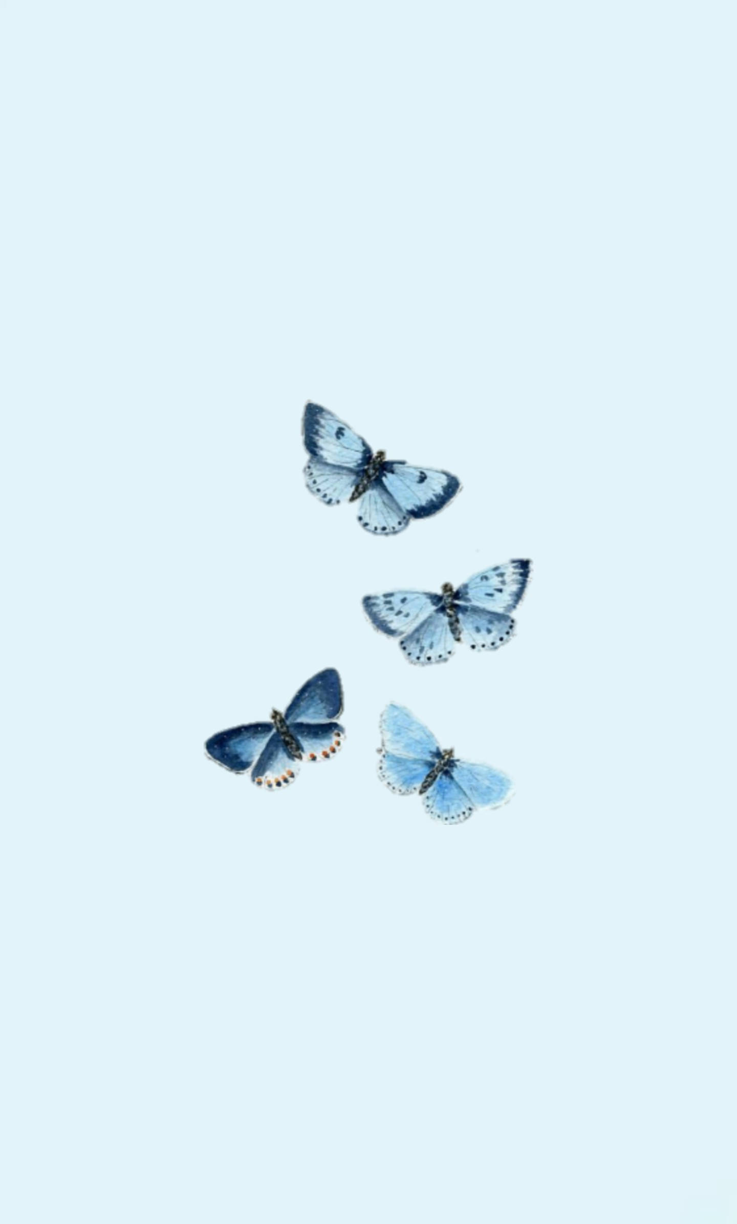 butterfly aesthetic, powder blue wings, delicate blue butterflies, Full HD Phone Wallpaper