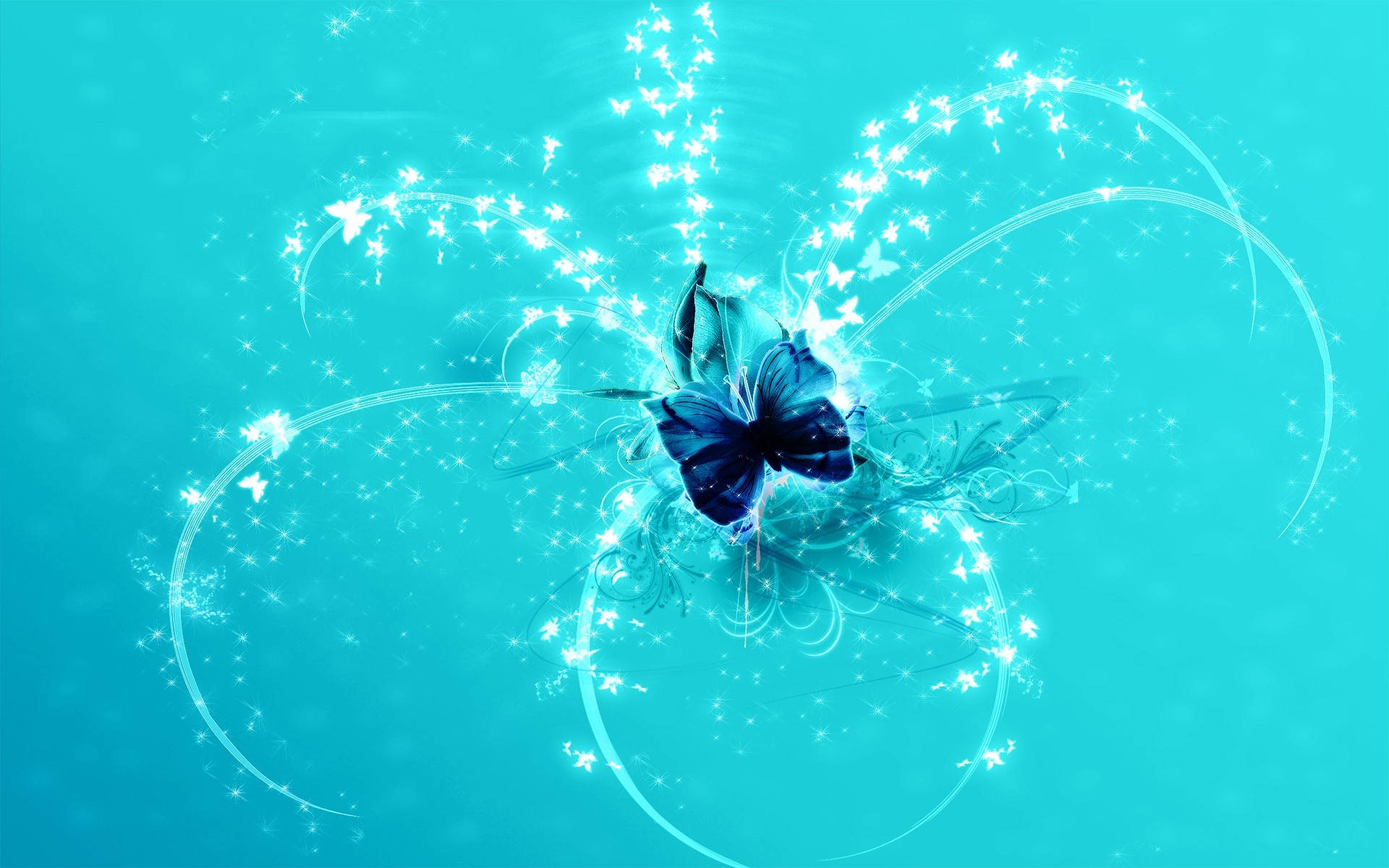 Blue Butterfly, glowing blue butterfly, sparkling stars, Full HD Desktop Wallpaper