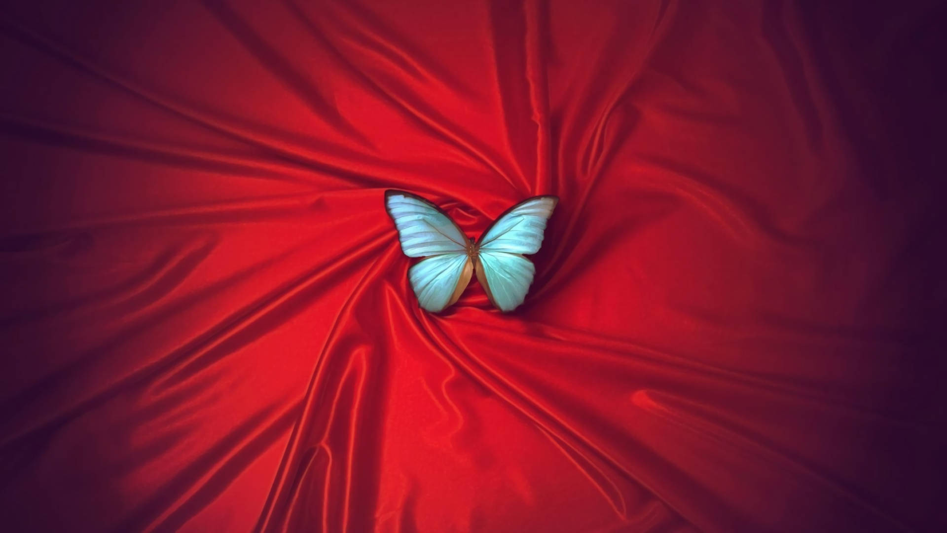 Blue Butterfly, red satin, light blue butterfly, Full HD Desktop Wallpaper