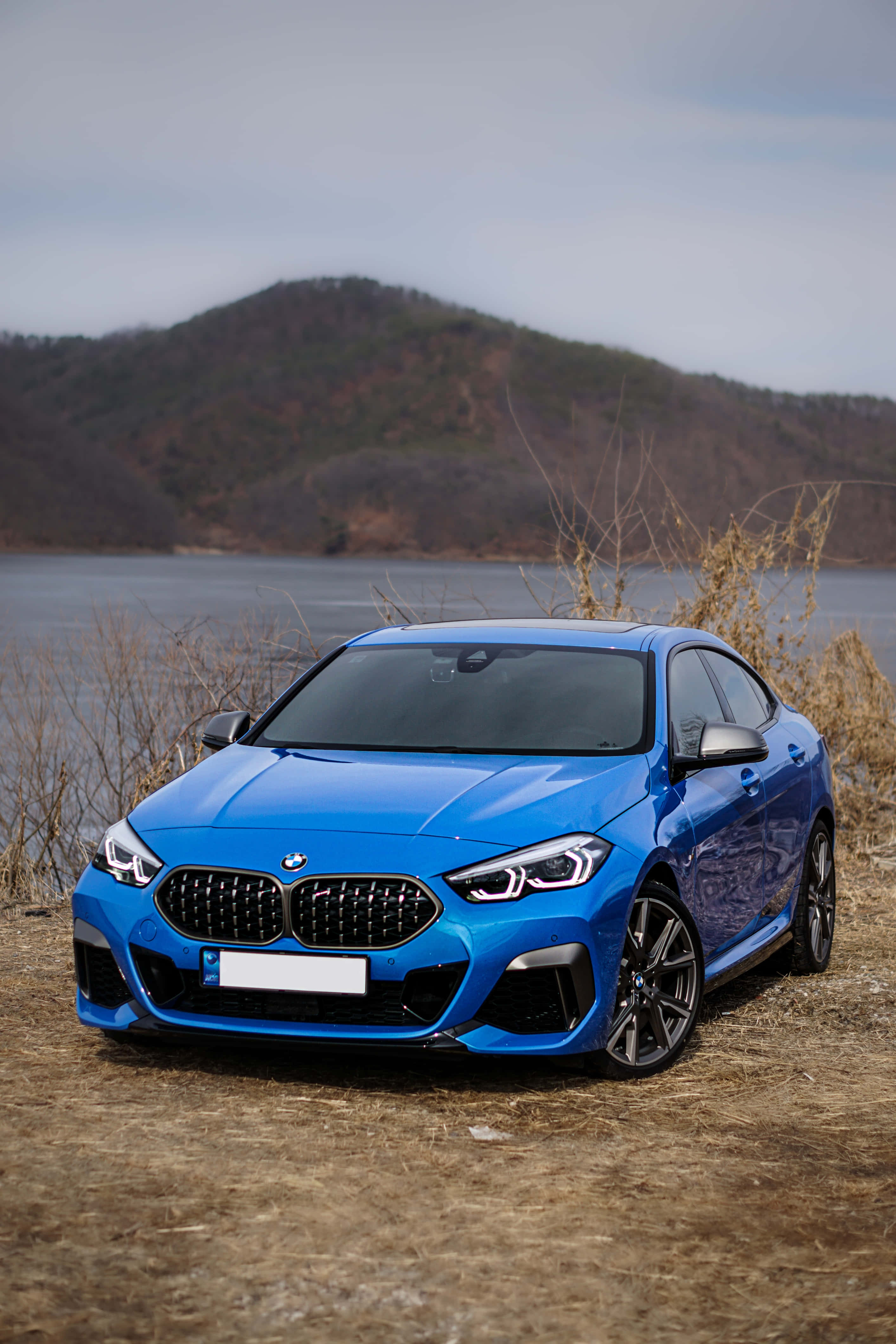 blue, BMW sports coupe, dry grass, 4K Phone Wallpaper
