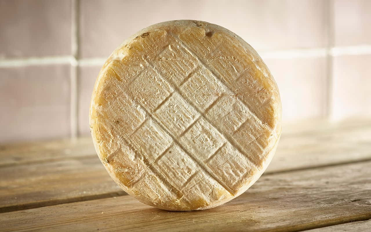blue cheese, round wheel, textured cheese, HD Desktop Wallpaper