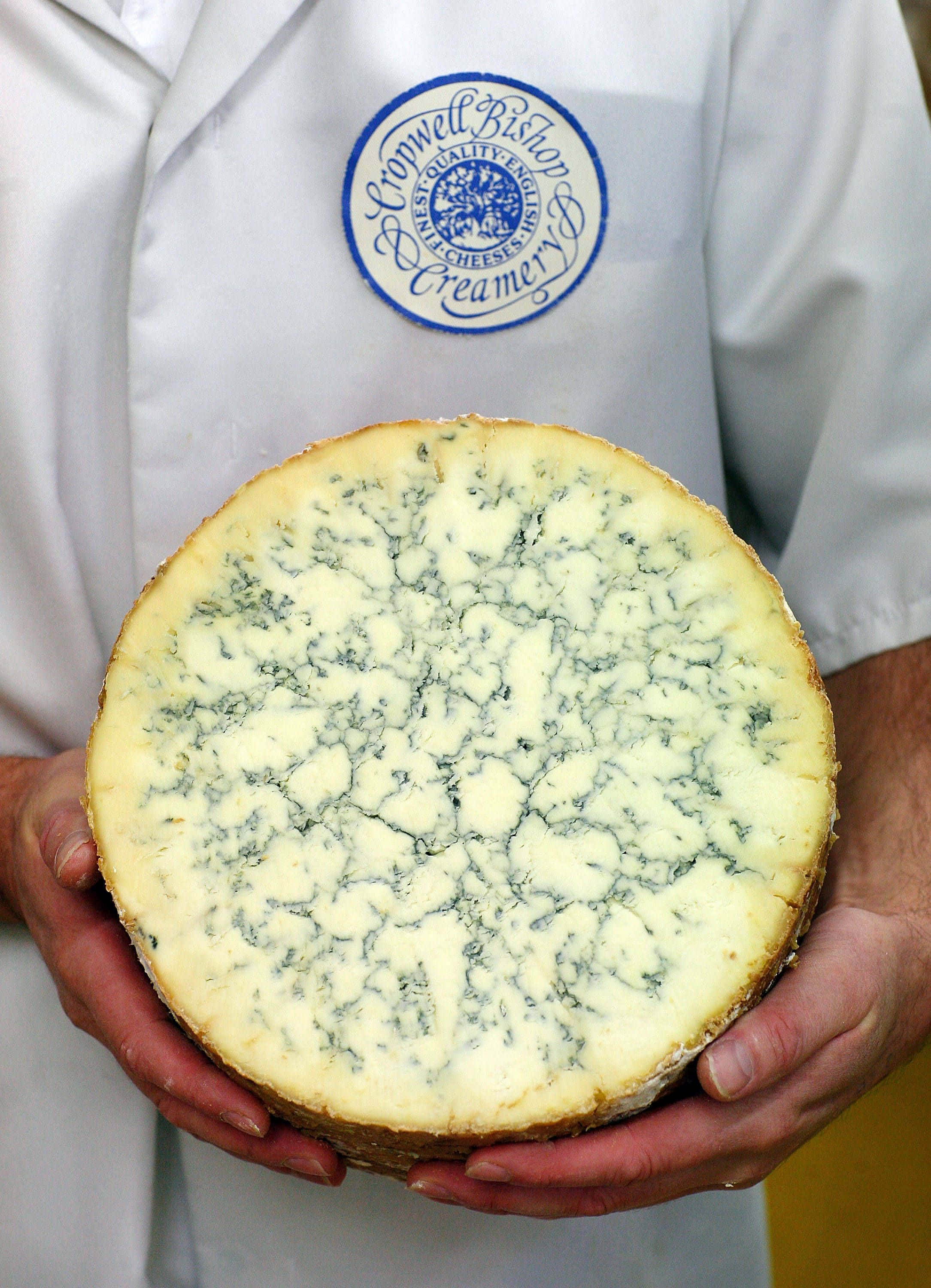 Blue Cheese, marbled blue veins, golden rind, 2K Phone Wallpaper