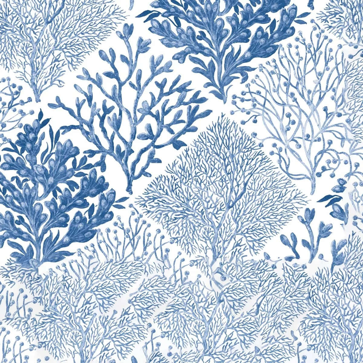 blue coastal, coral pattern, blue coral, SD Desktop Wallpaper
