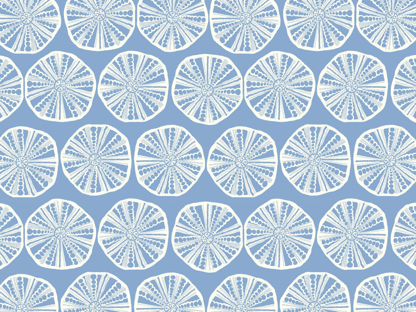 Blue Coastal, sand dollar pattern, white circular patterns, HD Desktop Wallpaper