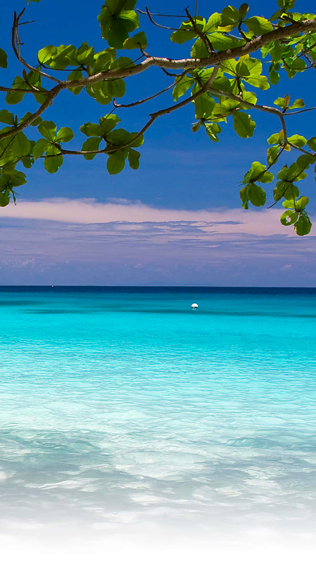 turquoise ocean, white sand, clear blue sky, Full HD Phone Wallpaper