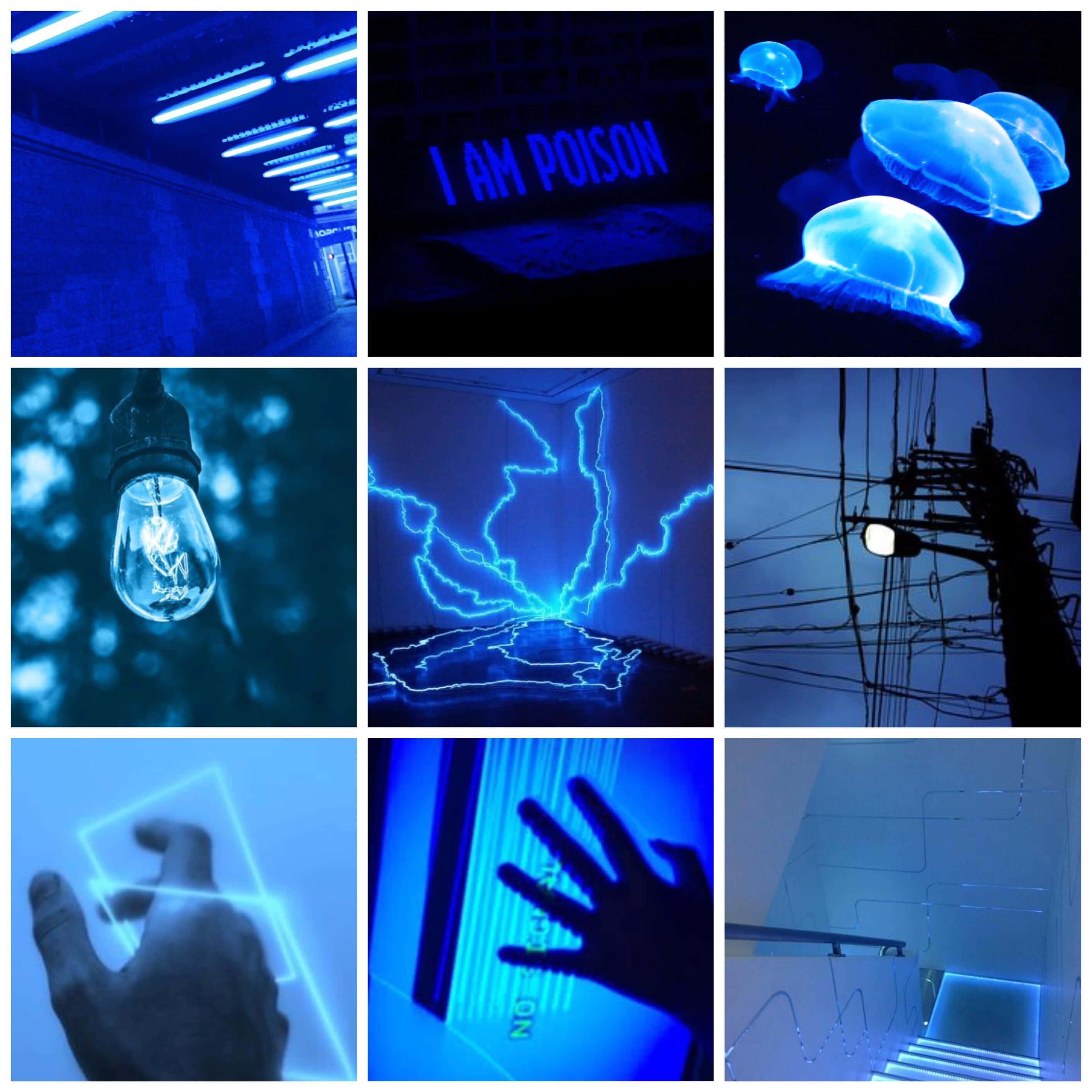 blue collage, neon lights, jellyfish, 2K Desktop Wallpaper