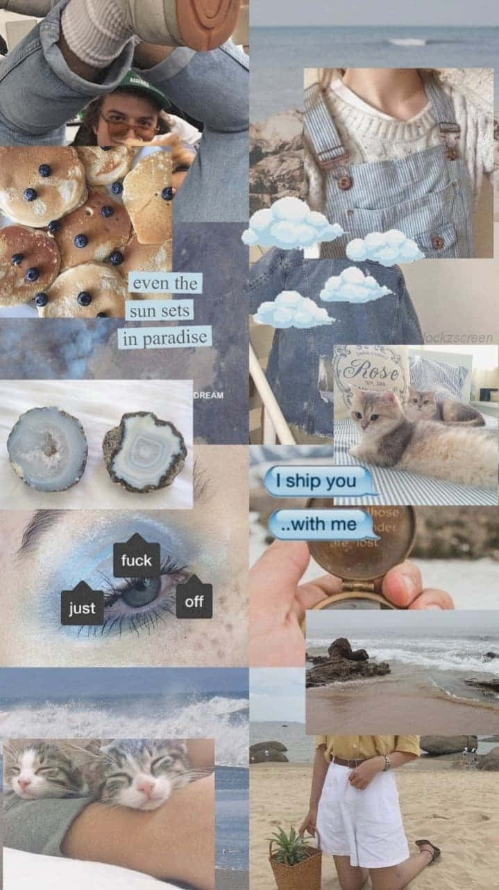 Blue Collage, candid moments, cats, HD Phone Wallpaper