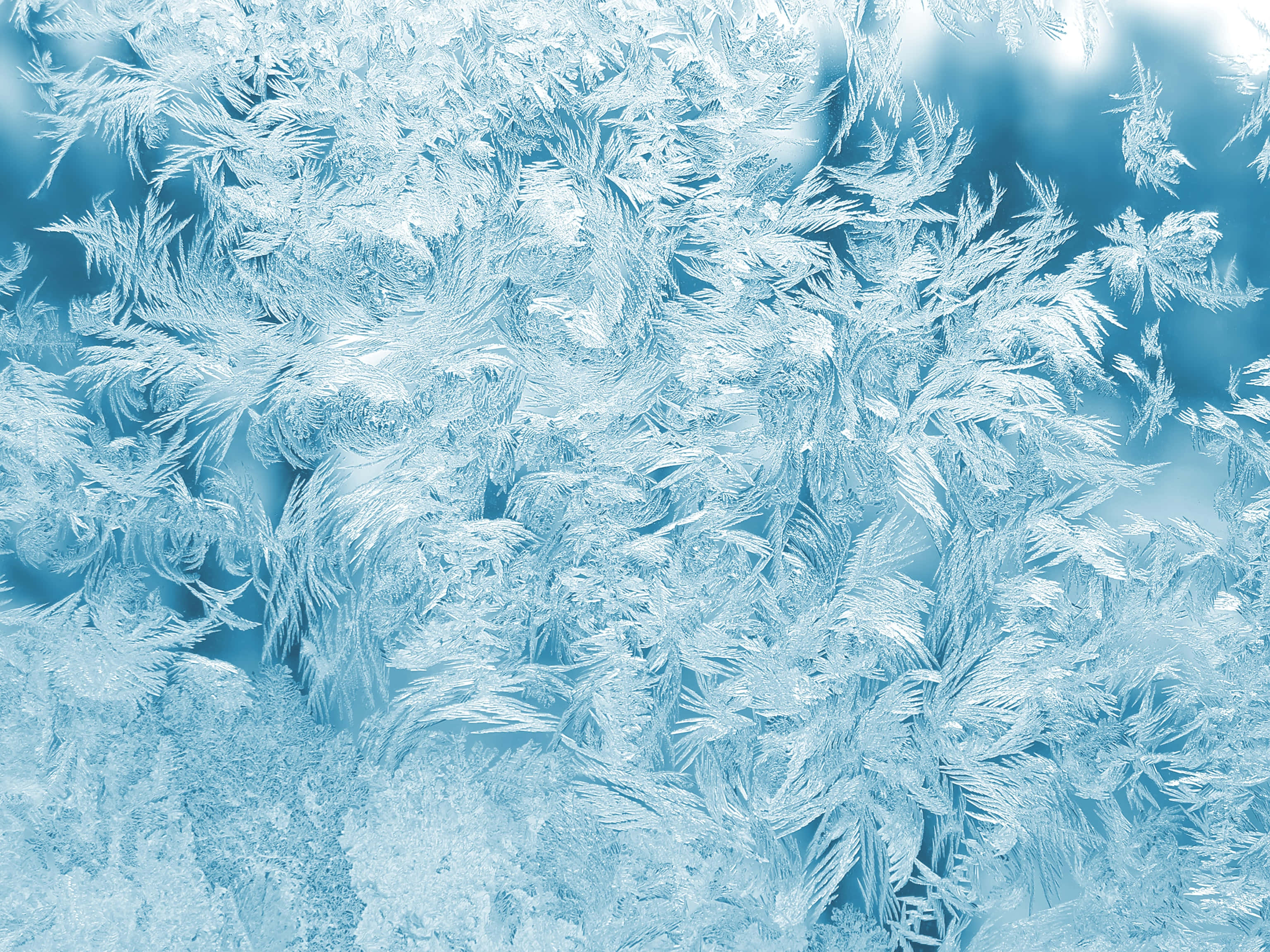 blue desktop, glass surface, cool blue light, 2K Desktop Wallpaper
