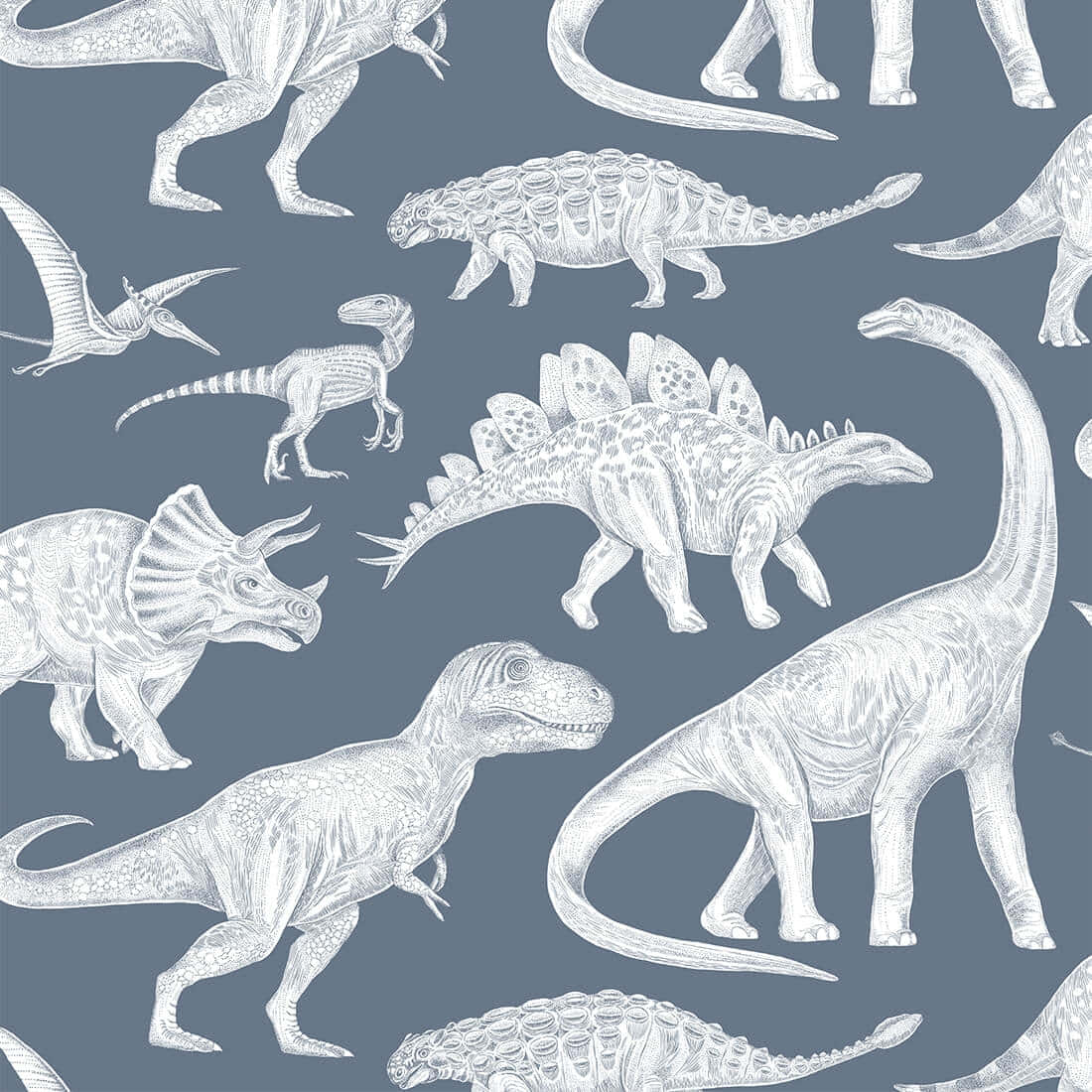 dinosaur pattern, slate blue, white detailed dinosaur sketches, SD Desktop Wallpaper