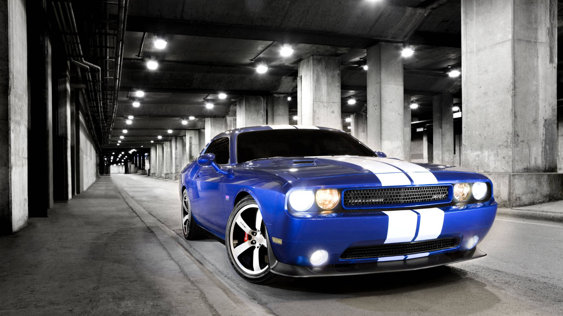 2012 blue Dodge Challenger, white racing stripes, bright lights, Full HD Desktop Wallpaper