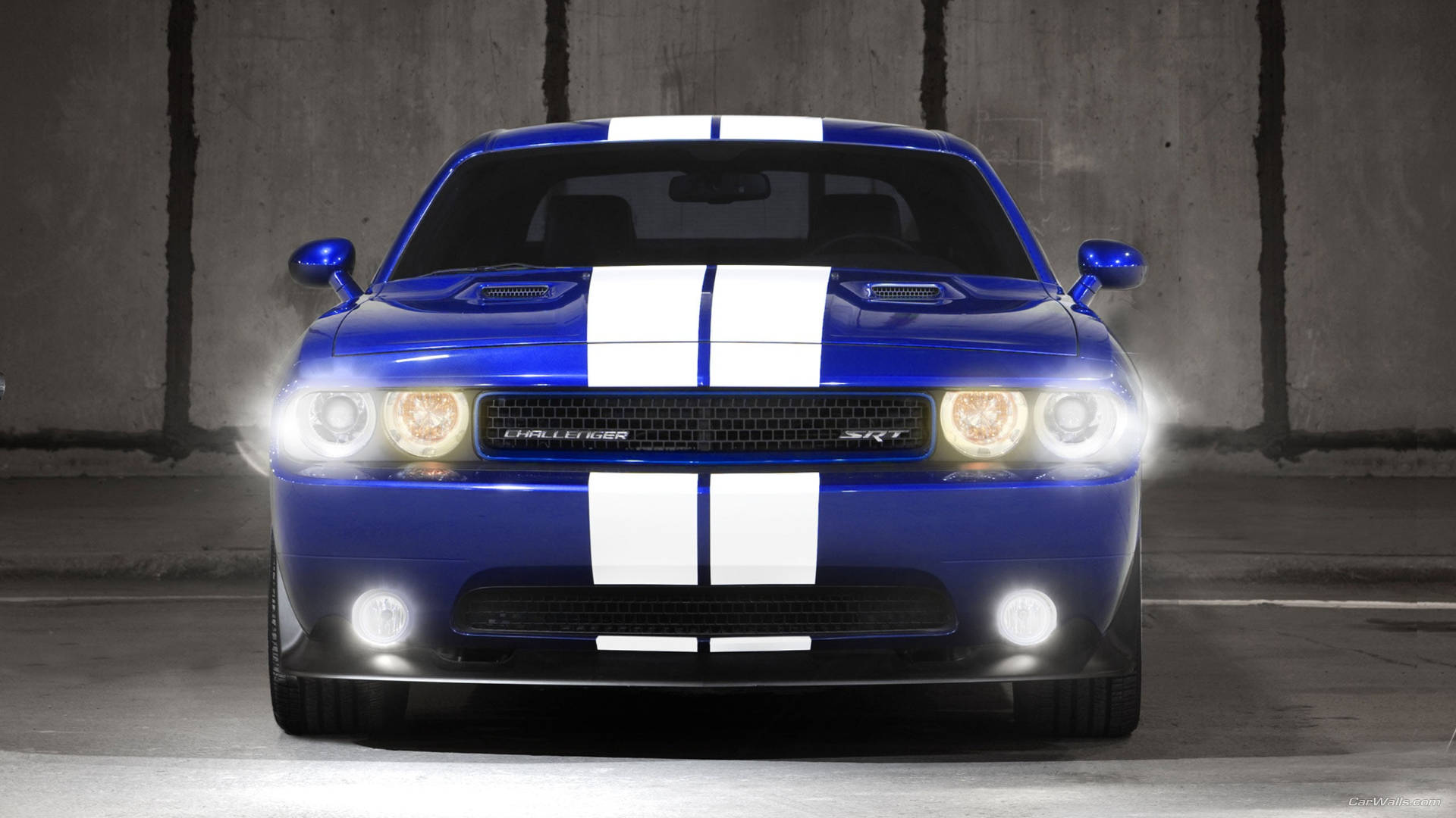 2012 Blue Dodge Challenger, vibrant blue, white racing stripes, Full HD Desktop Wallpaper